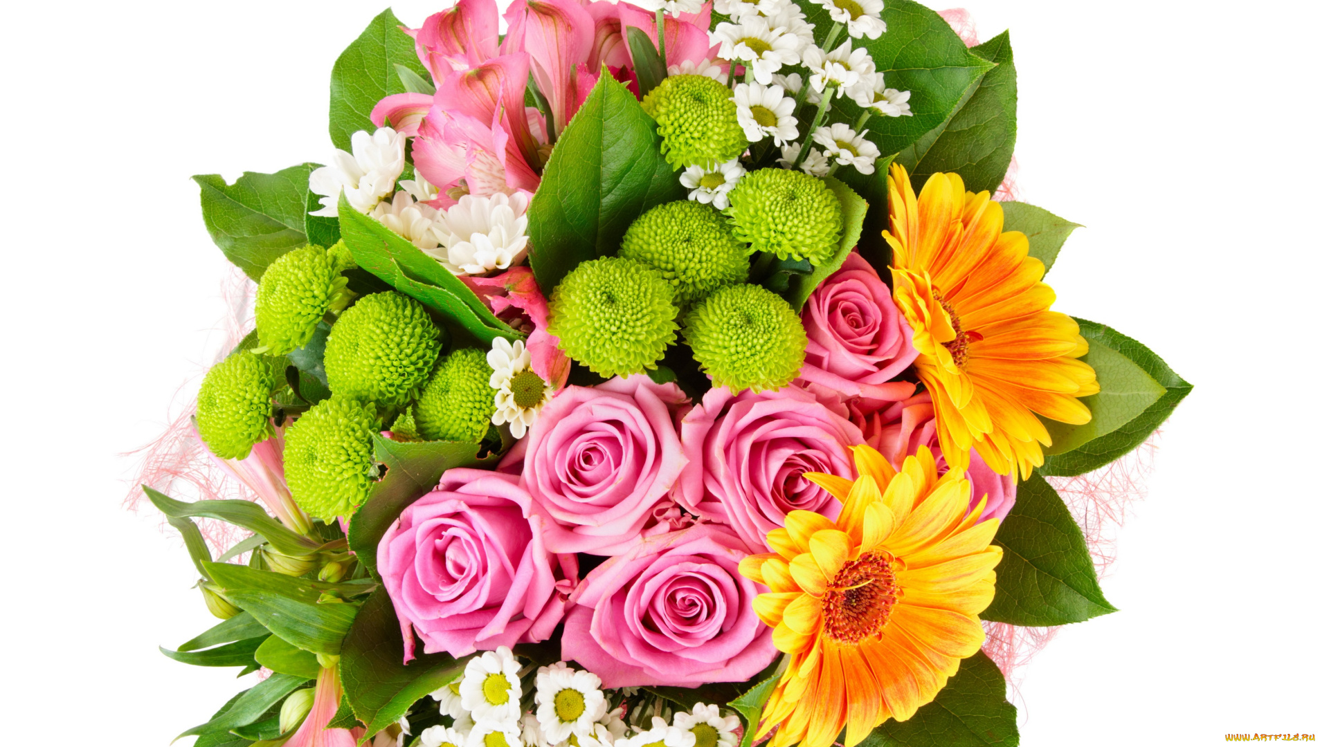 цветы, букеты, , композиции, белый, фон, букет