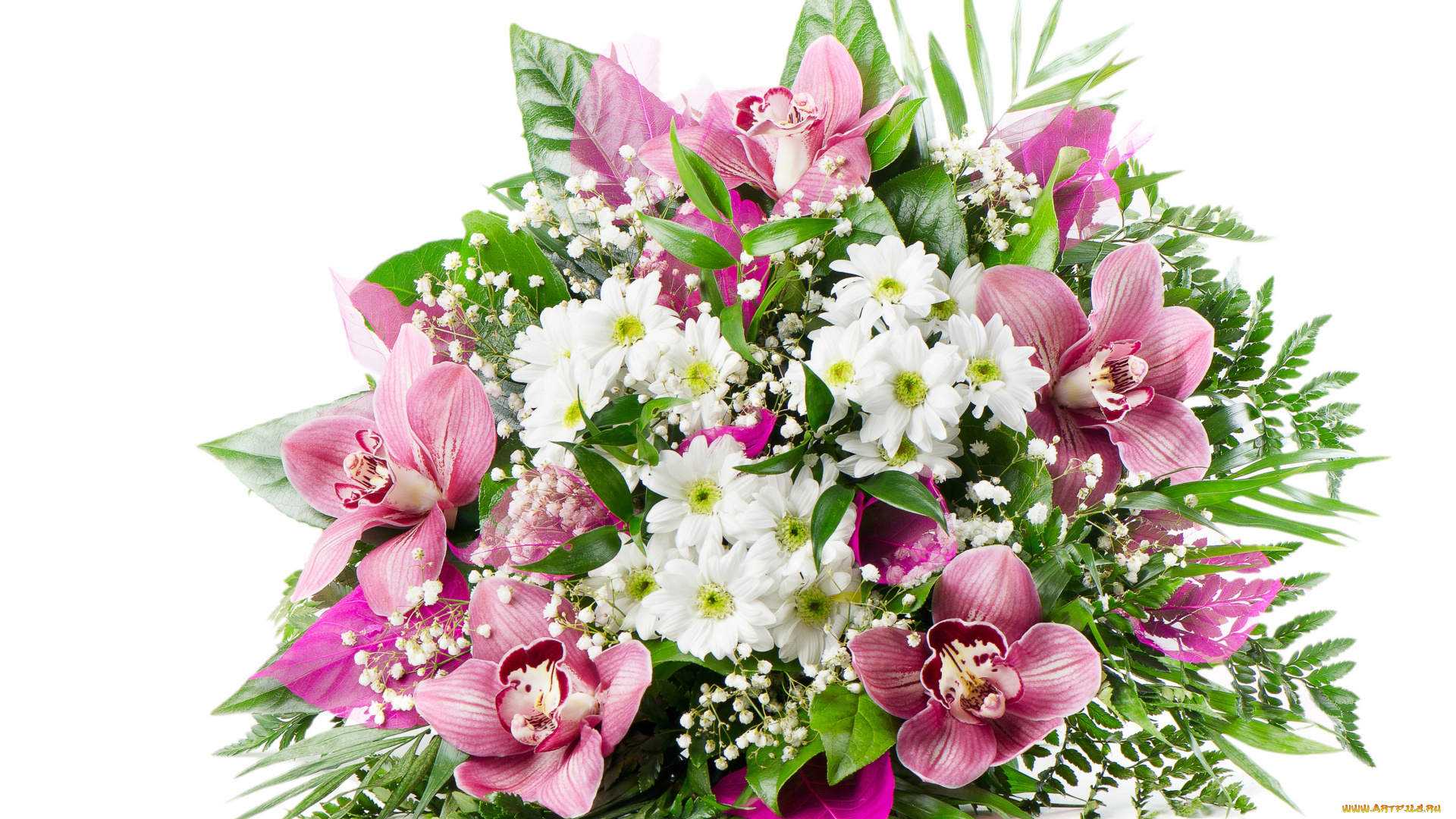 цветы, букеты, , композиции, белый, фон, букет