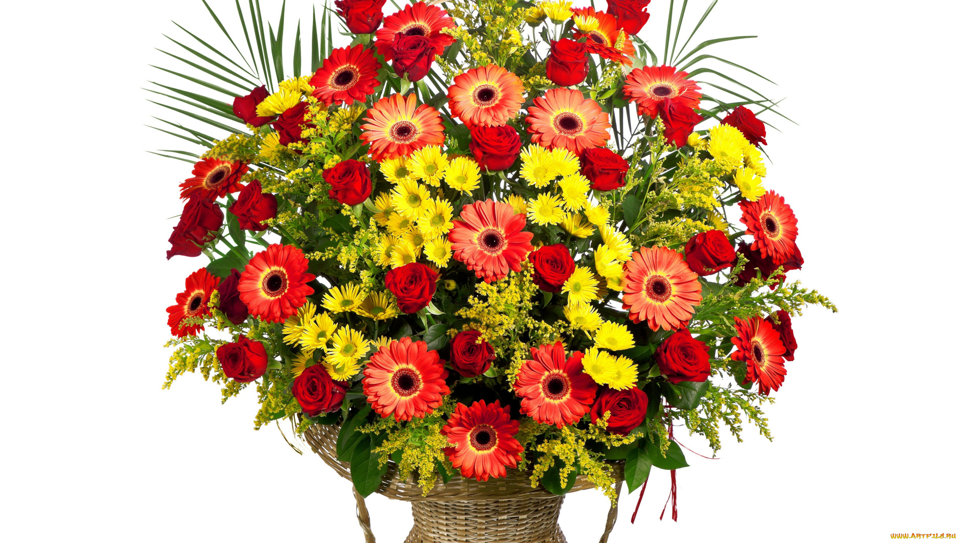 цветы, букеты, , композиции, белый, фон, ваза, букет, розы