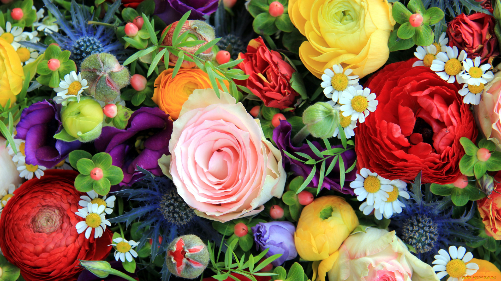 цветы, разные, вместе, розы, эустома, ранункулюс