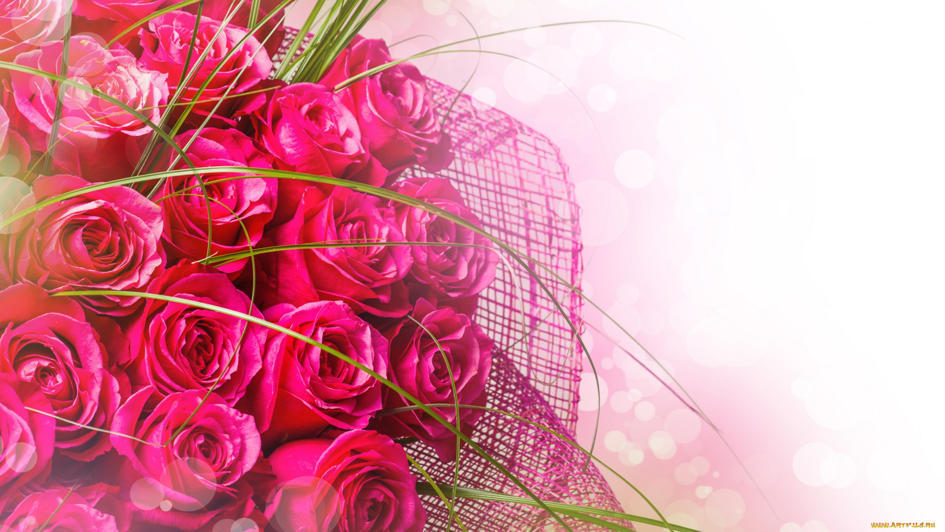цветы, розы, розовый, фон, букет, розовые