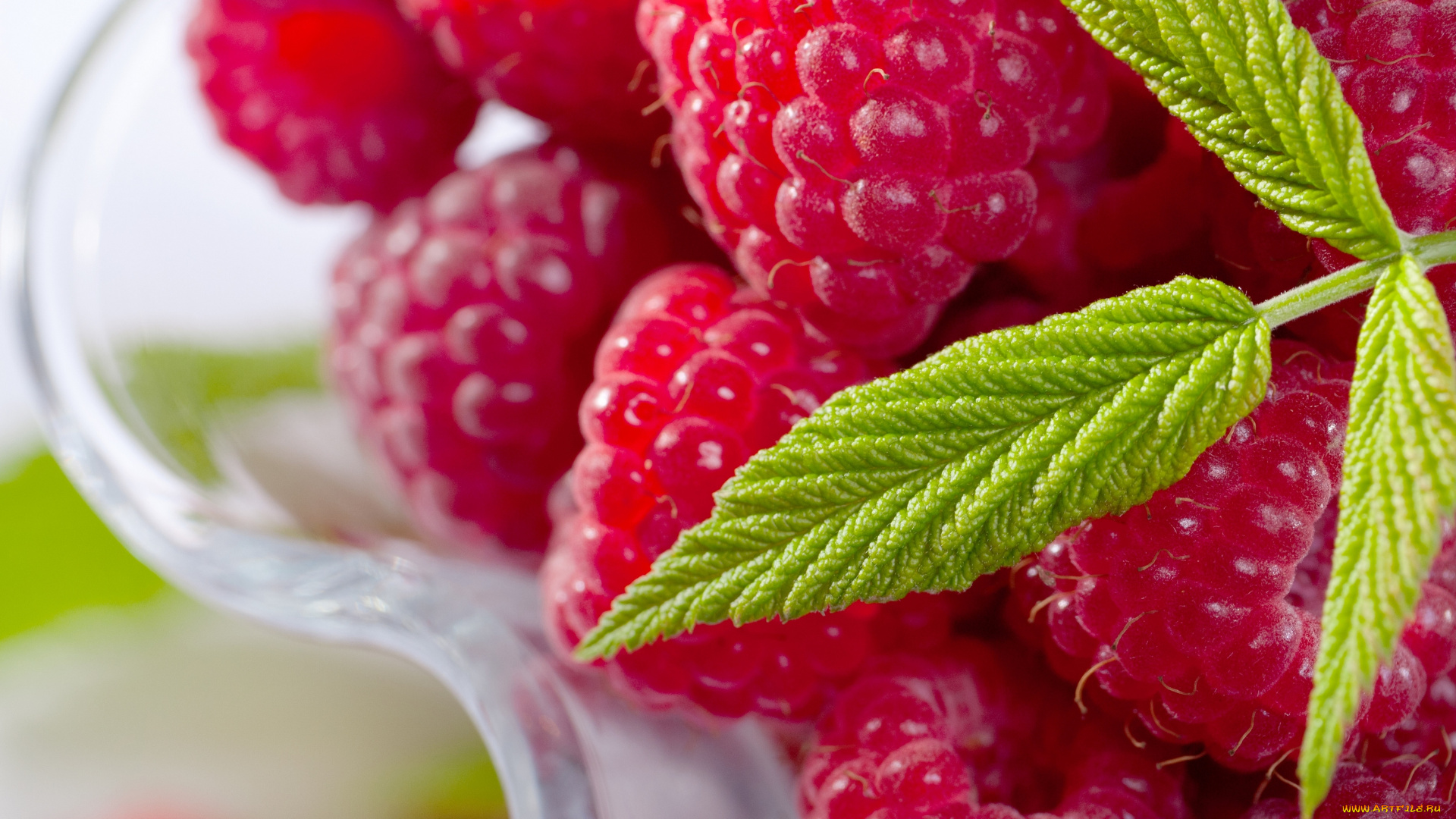 еда, малина, листик, ягода, пиала