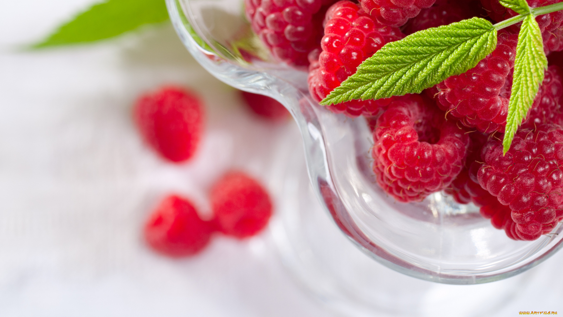 еда, малина, ягода, пиала, листик