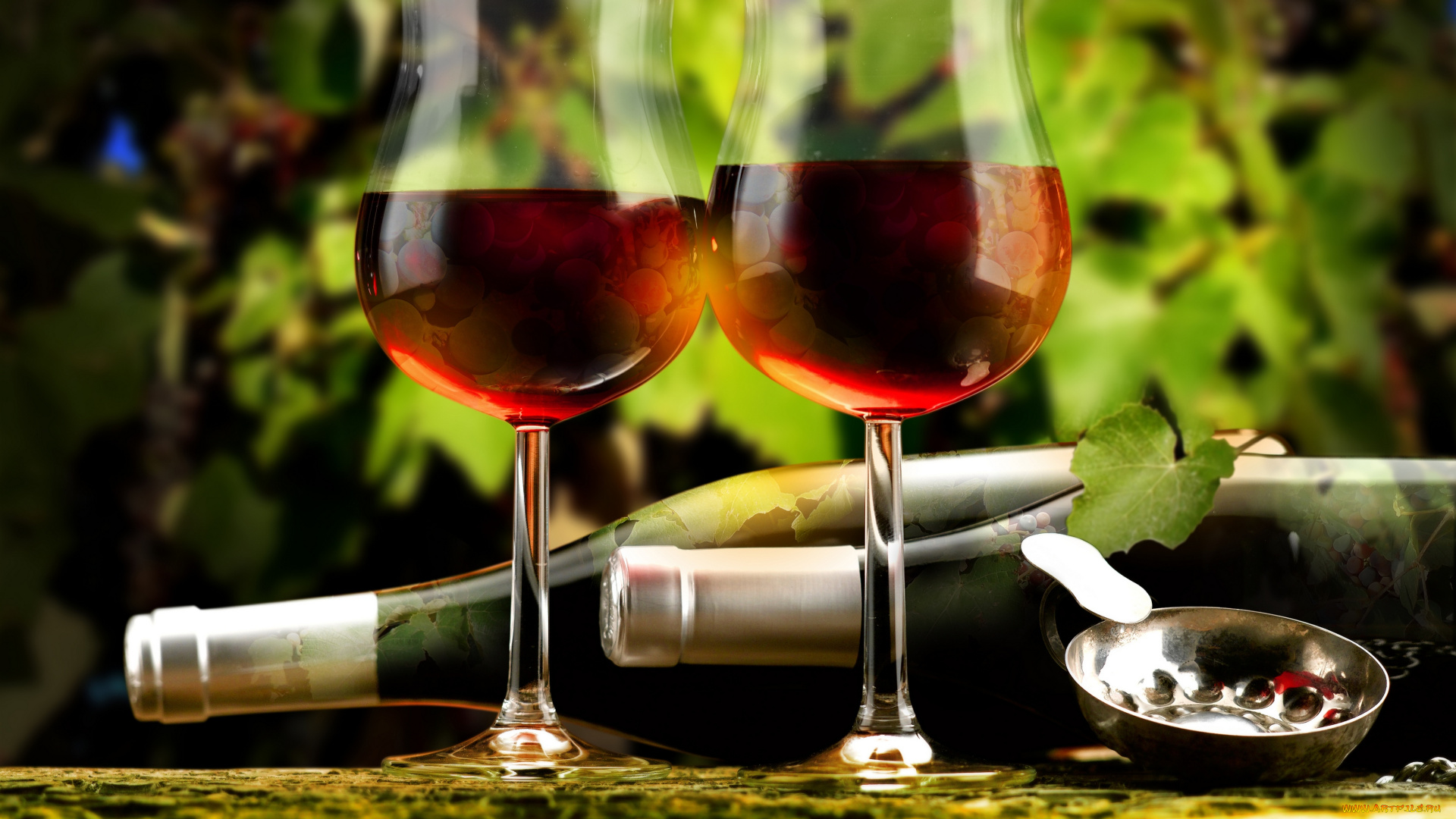 еда, напитки, , вино, два, бокала, вина, бутылки, кусты, винограда