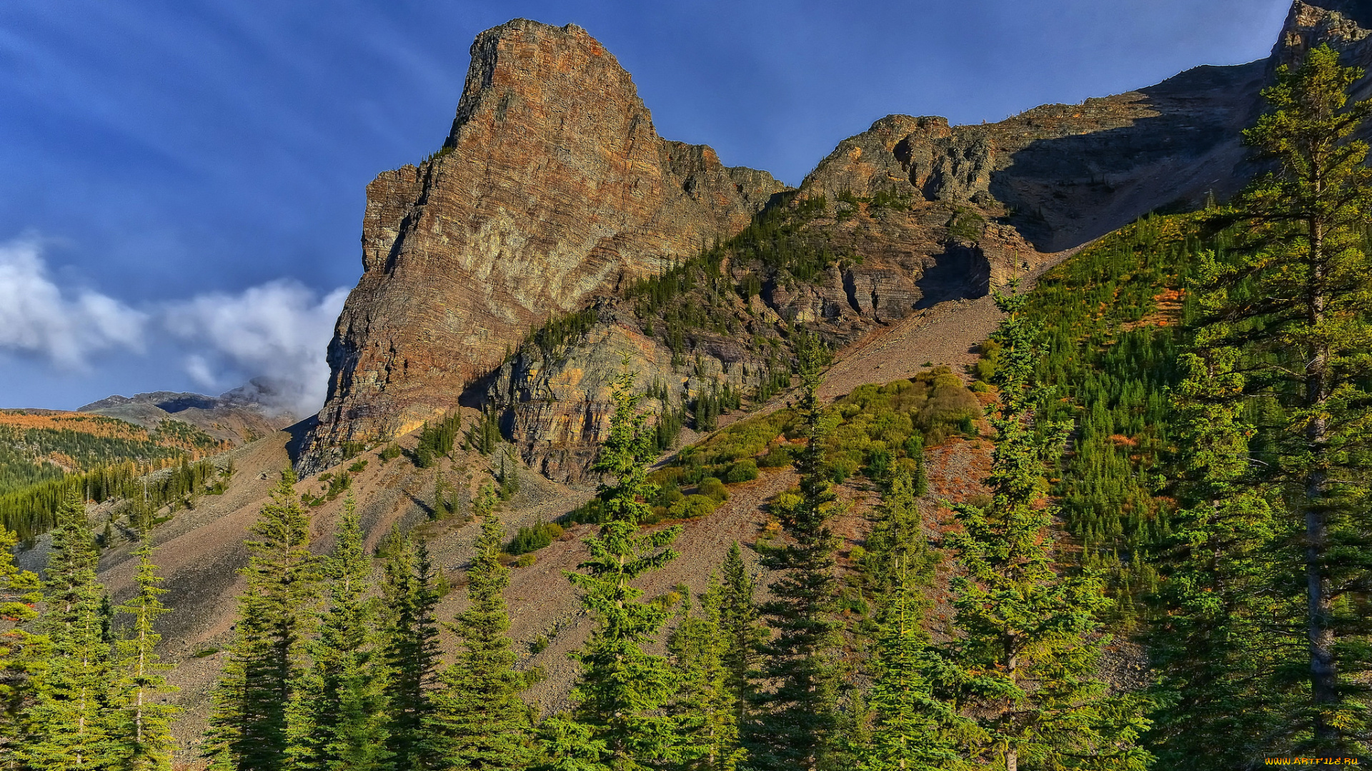 природа, горы, лес, скалы
