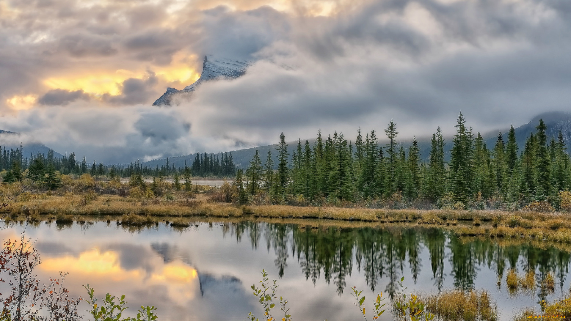 природа, реки, озера, облака, река, лес, горы