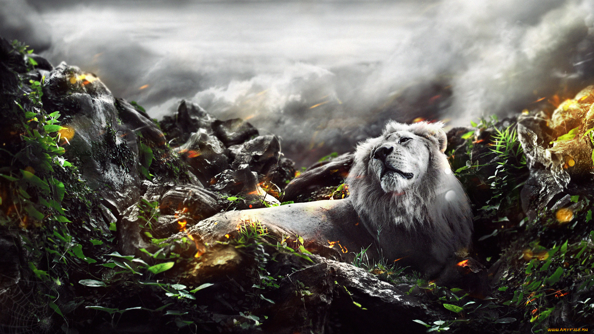 разное, компьютерный, дизайн, лев