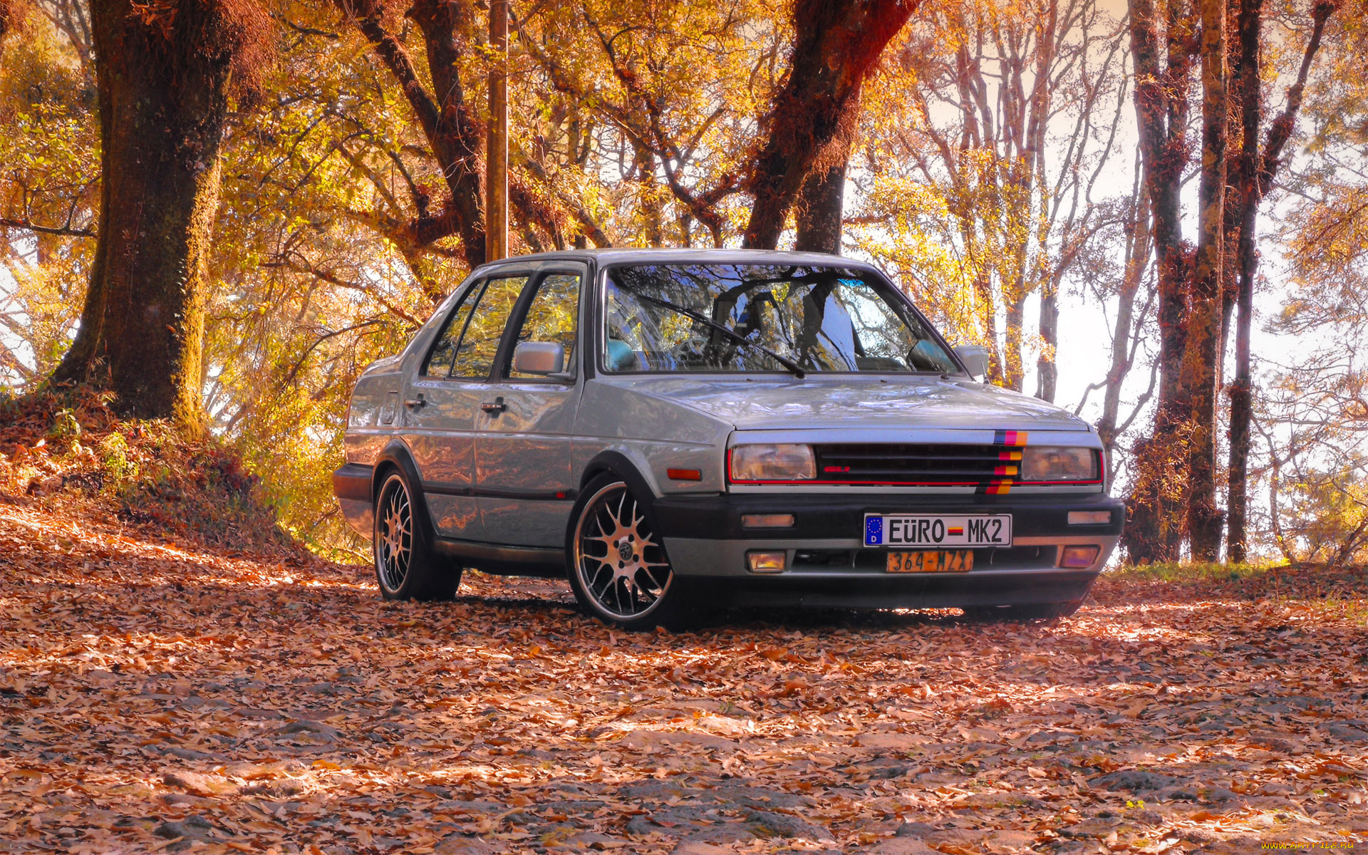 автомобили, volkswagen, vw