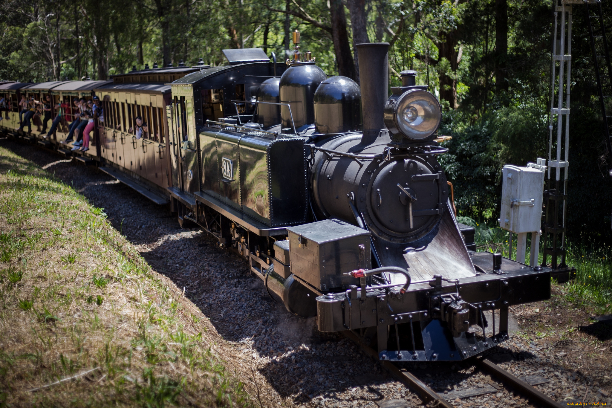 техника, паровозы, дорога, железная, поезд, вагоны, паровоз