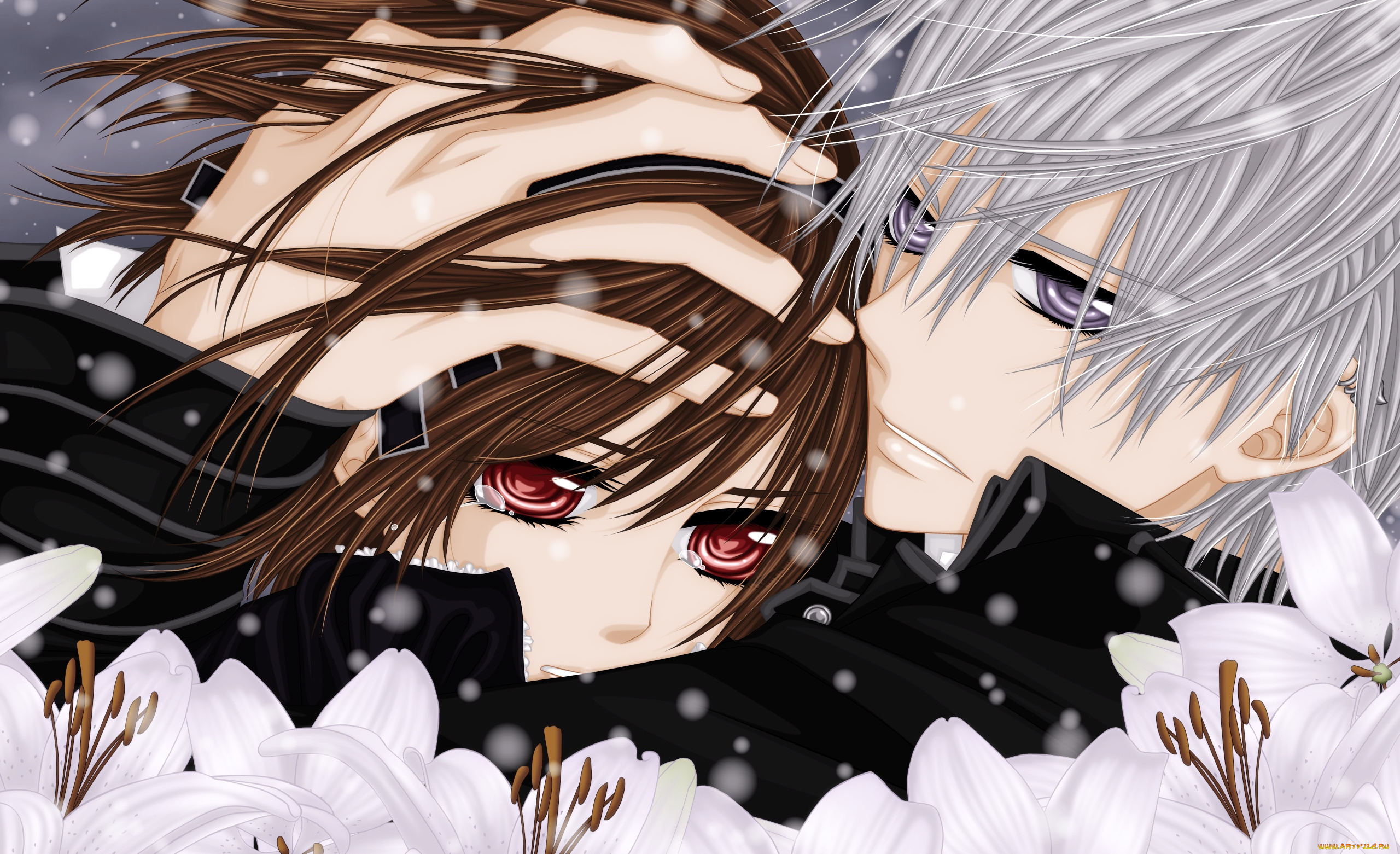 аниме, vampire, knight, взгляд, цветы, снег, объятия, слезы, zero, yuki, vampire, knight