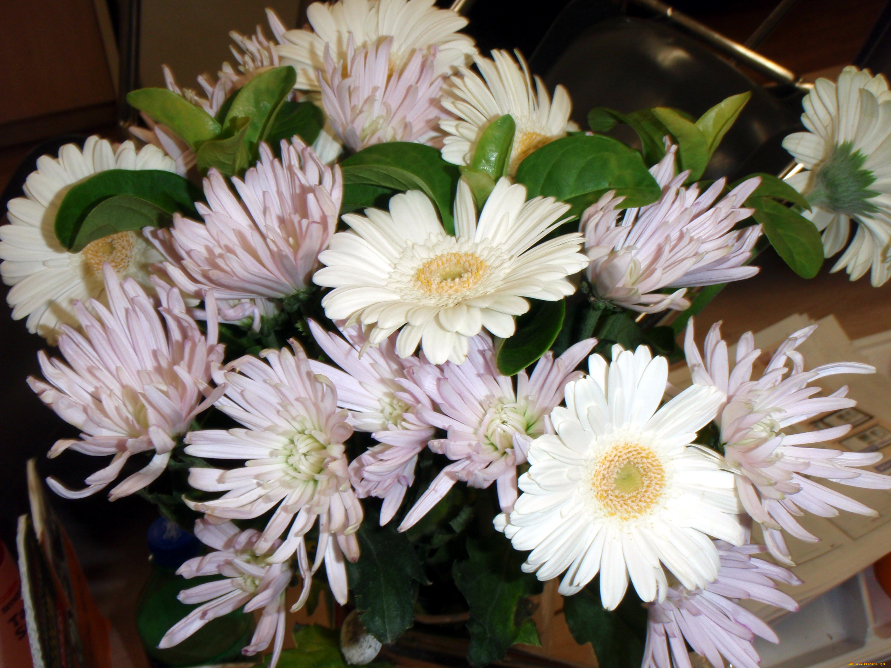 цветы, разные, вместе, герберы, хризантемы