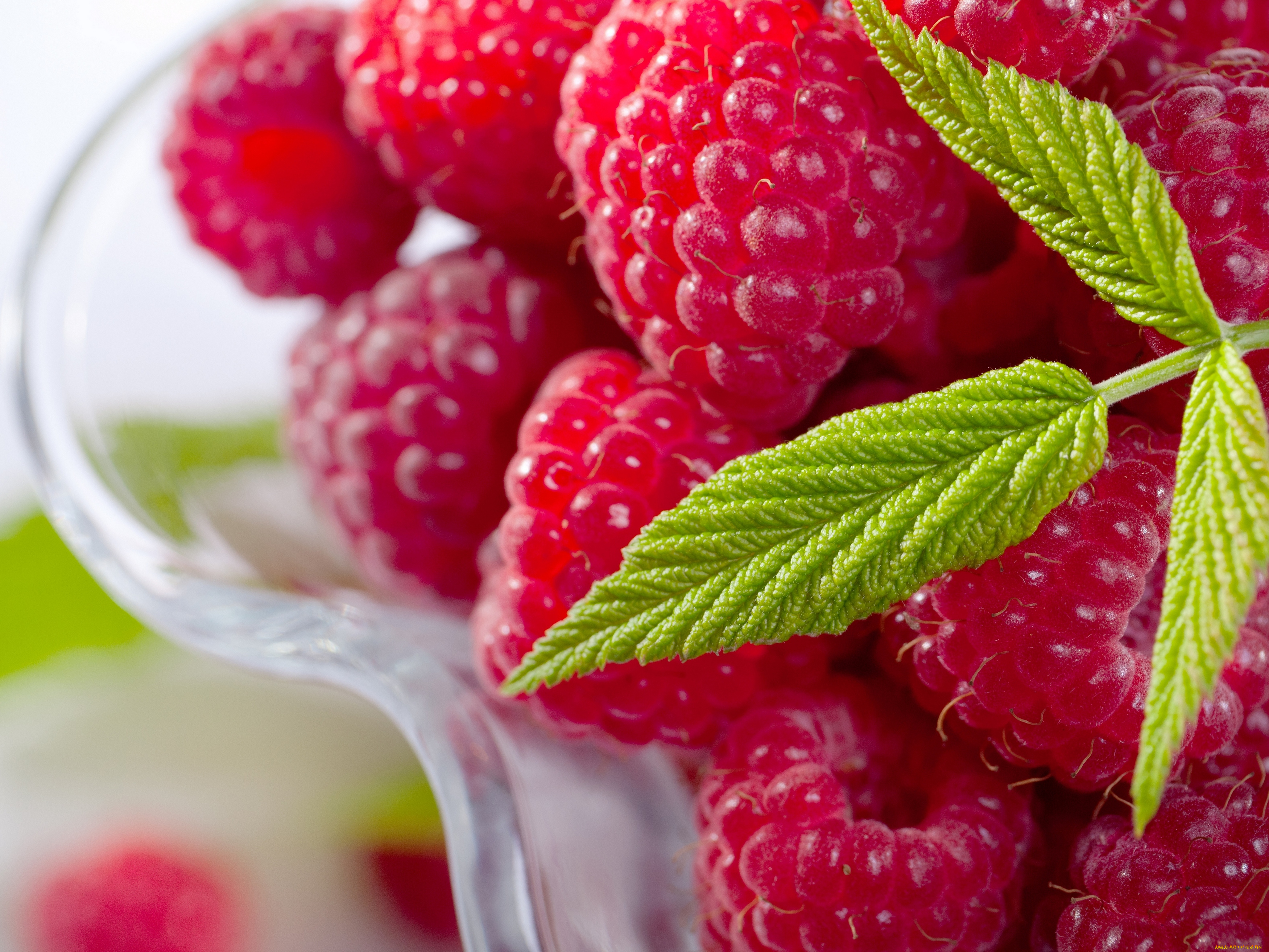 еда, малина, листик, ягода, пиала