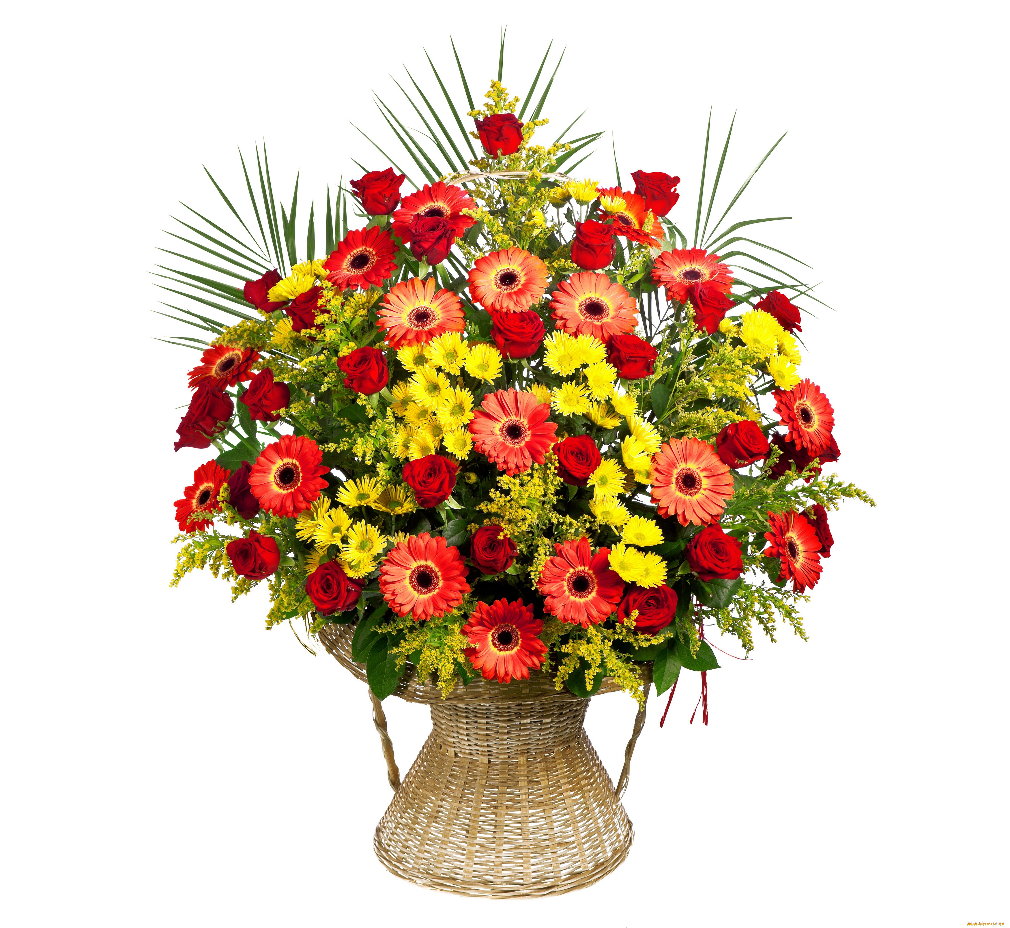 цветы, букеты, , композиции, белый, фон, ваза, букет, розы