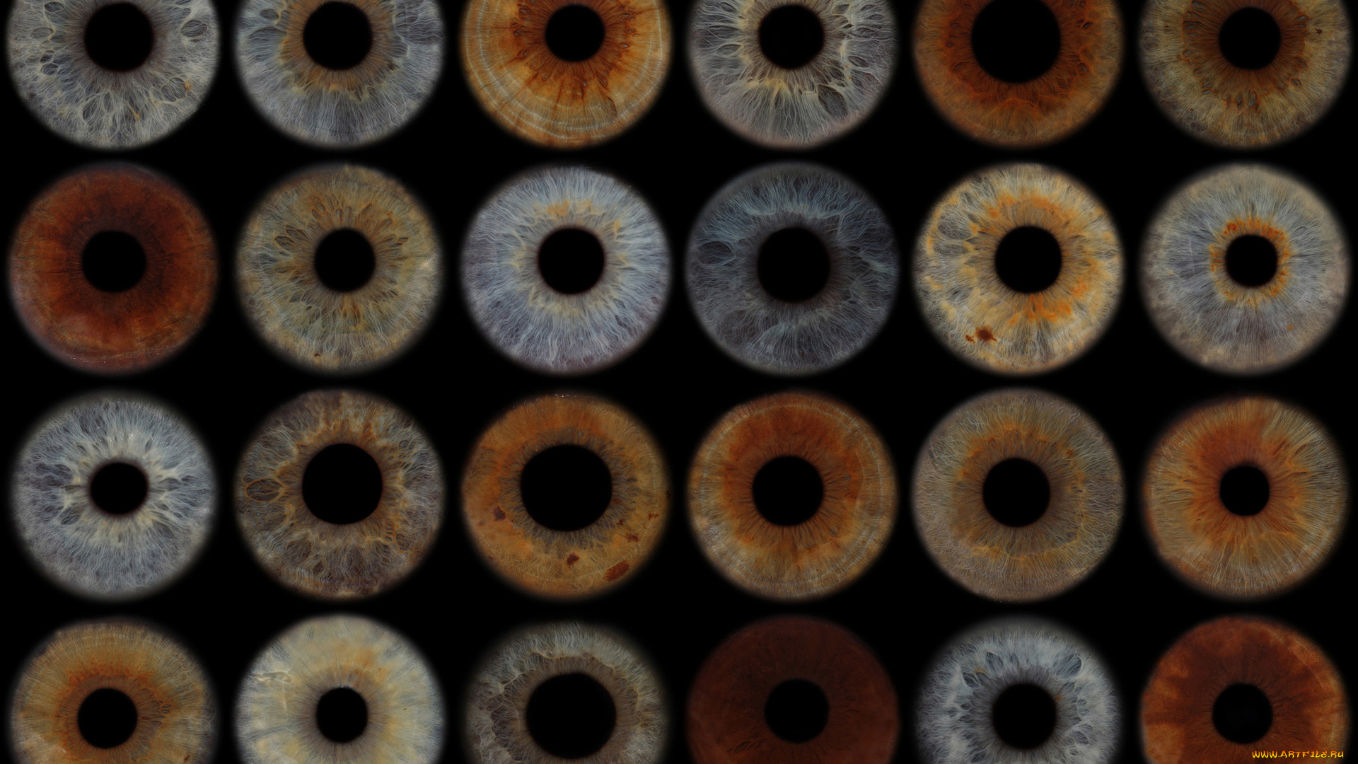 3д, графика, глаза, , eyes, фон, зрачки