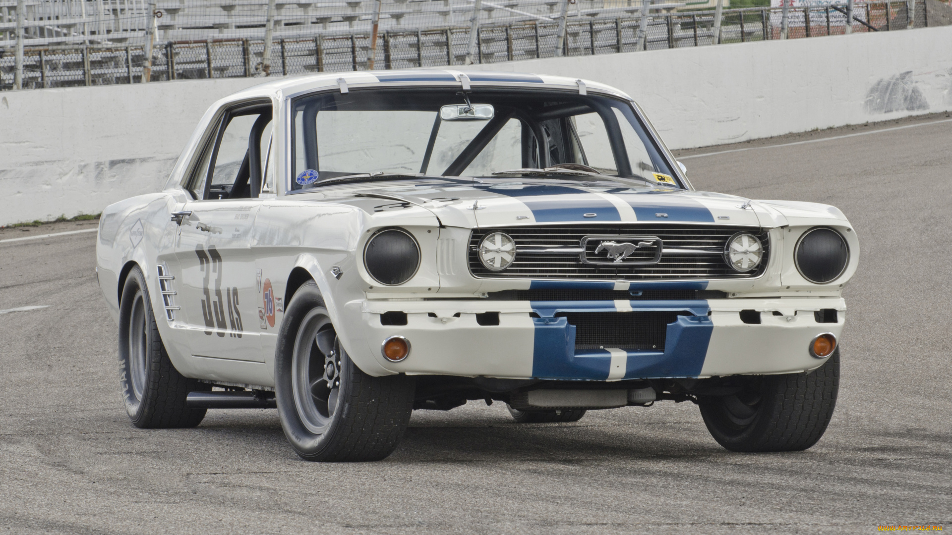 автомобили, mustang