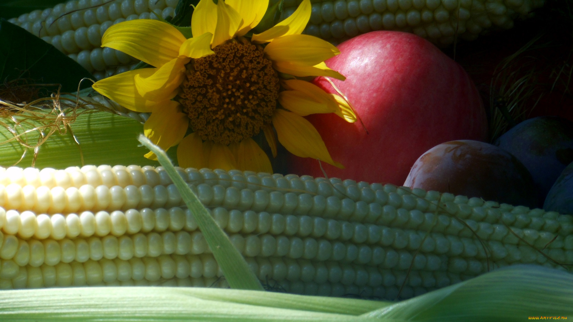 еда, фрукты, и, овощи, вместе, кукуруза