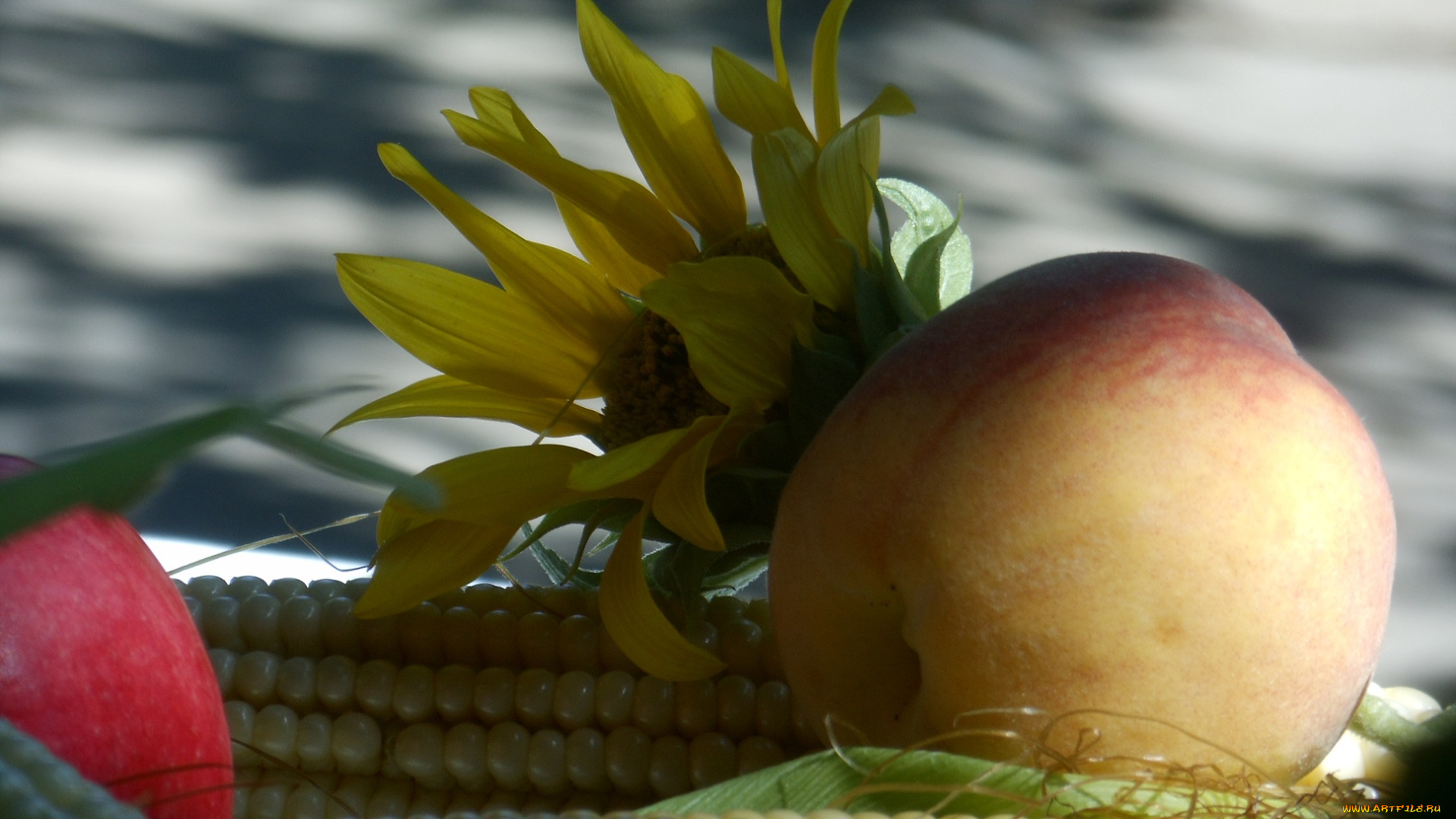 еда, фрукты, и, овощи, вместе, персик, кукуруза, подсолнух, цветок