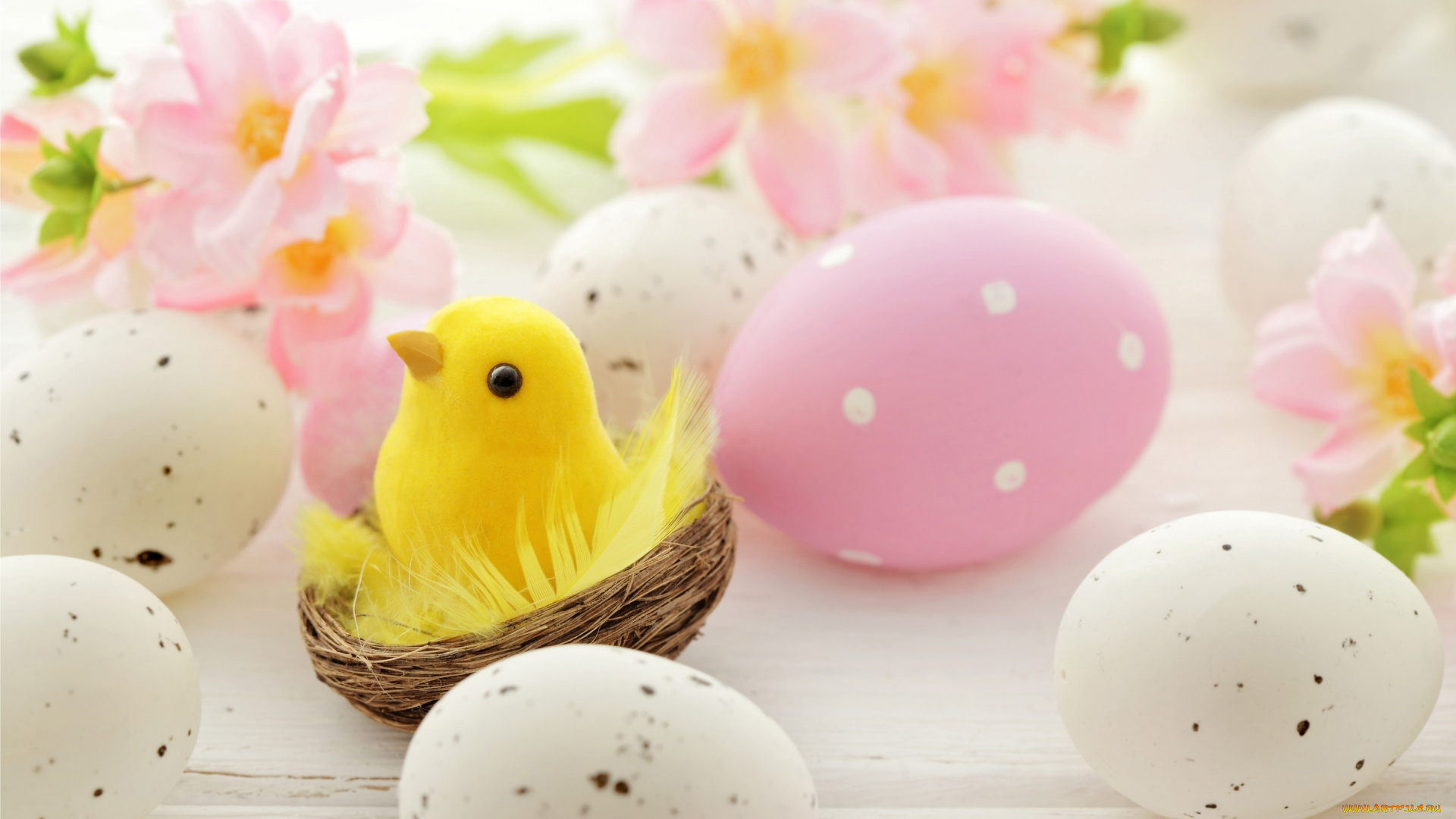 праздничные, пасха, цыплёнок, яйца, spring, eggs, easter