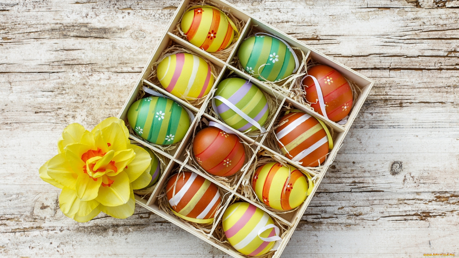 праздничные, пасха, нарцисс, крашенки, яйца