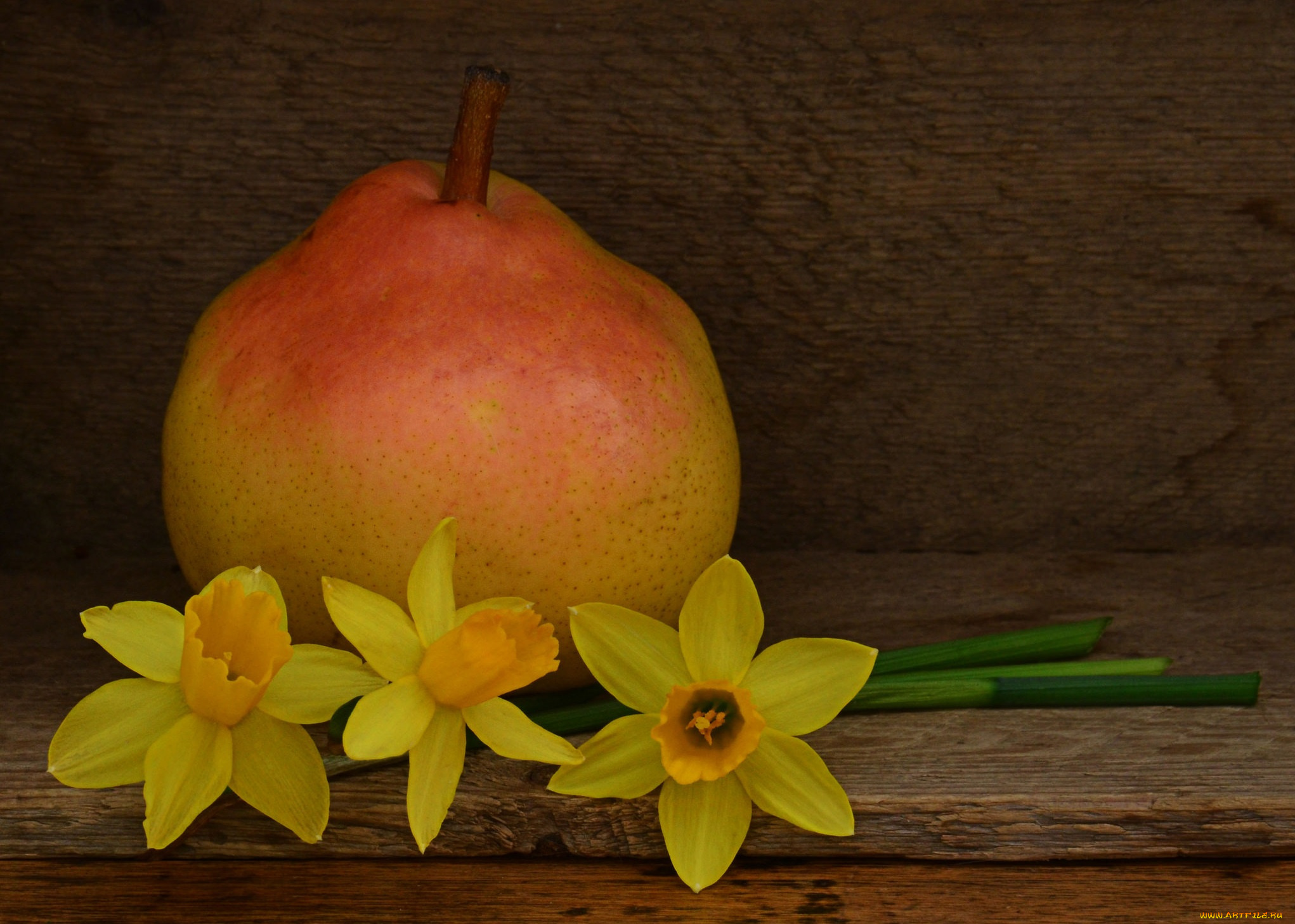 еда, груши, цветы, груша