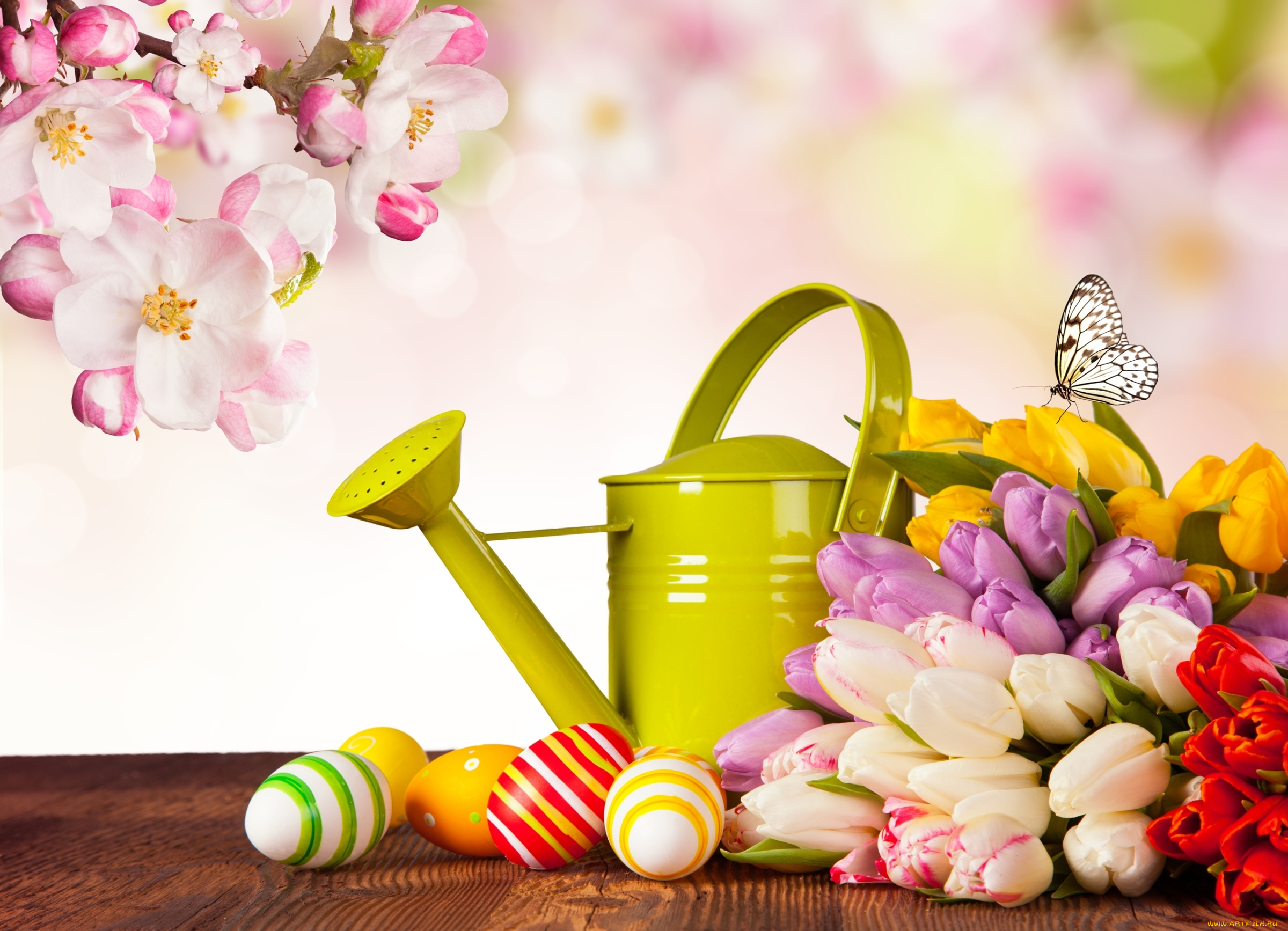 праздничные, пасха, яйца, тюльпаны, бабочка, яблоня, лейка, крашенки