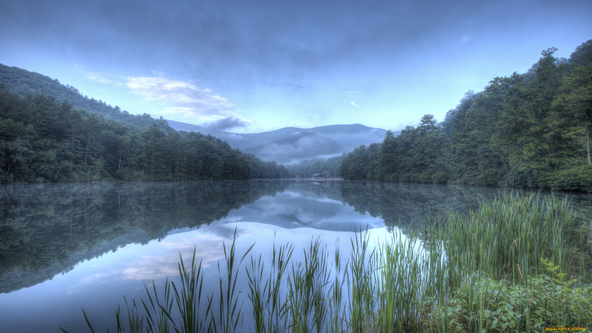 природа, реки, озера, лес, река