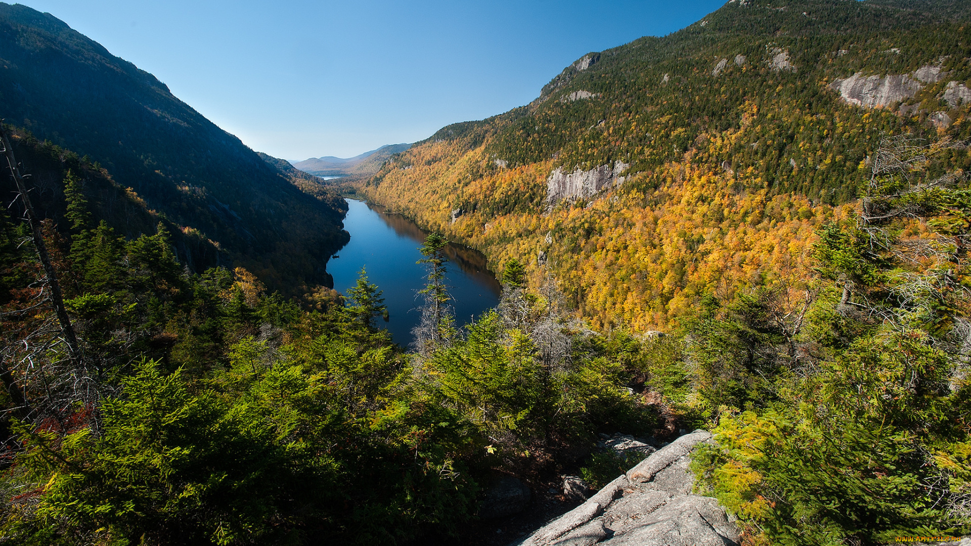 природа, реки, озера, лес, река