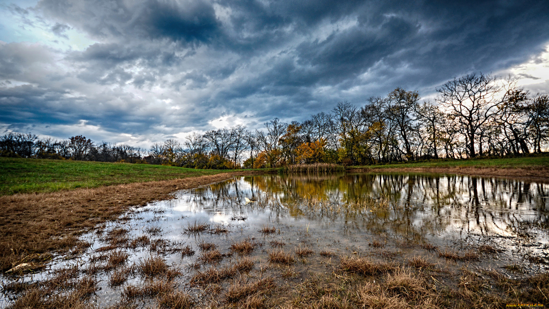 природа, реки, озера, лес, река