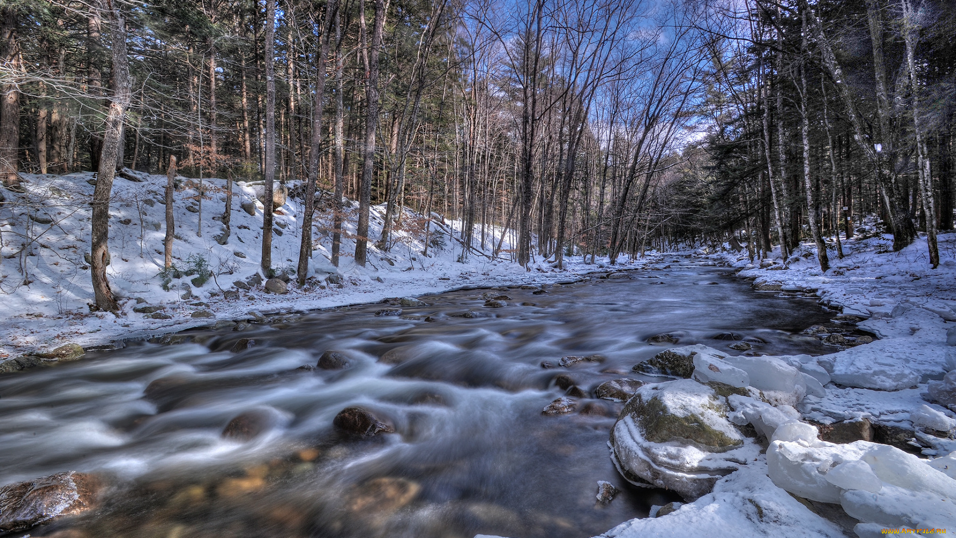 природа, реки, озера, лес, река
