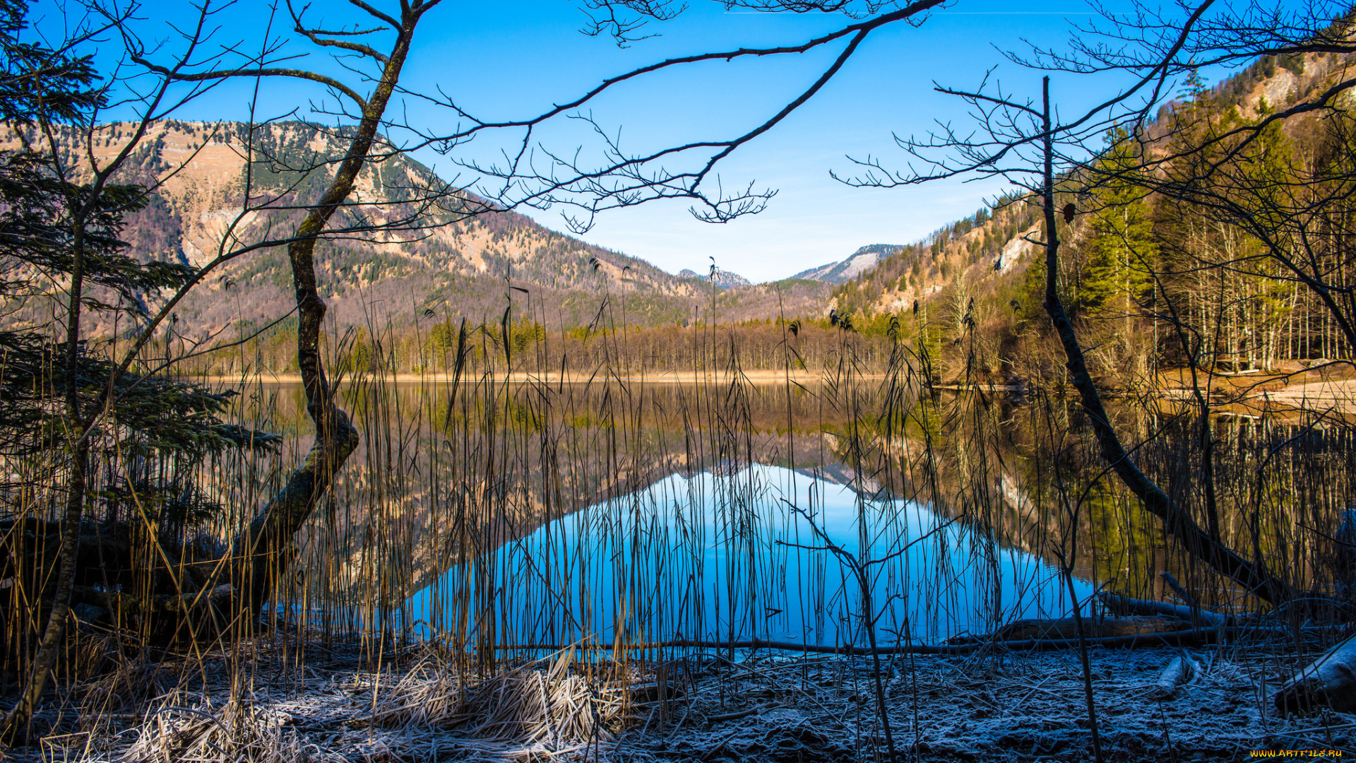 природа, реки, озера, лес, река