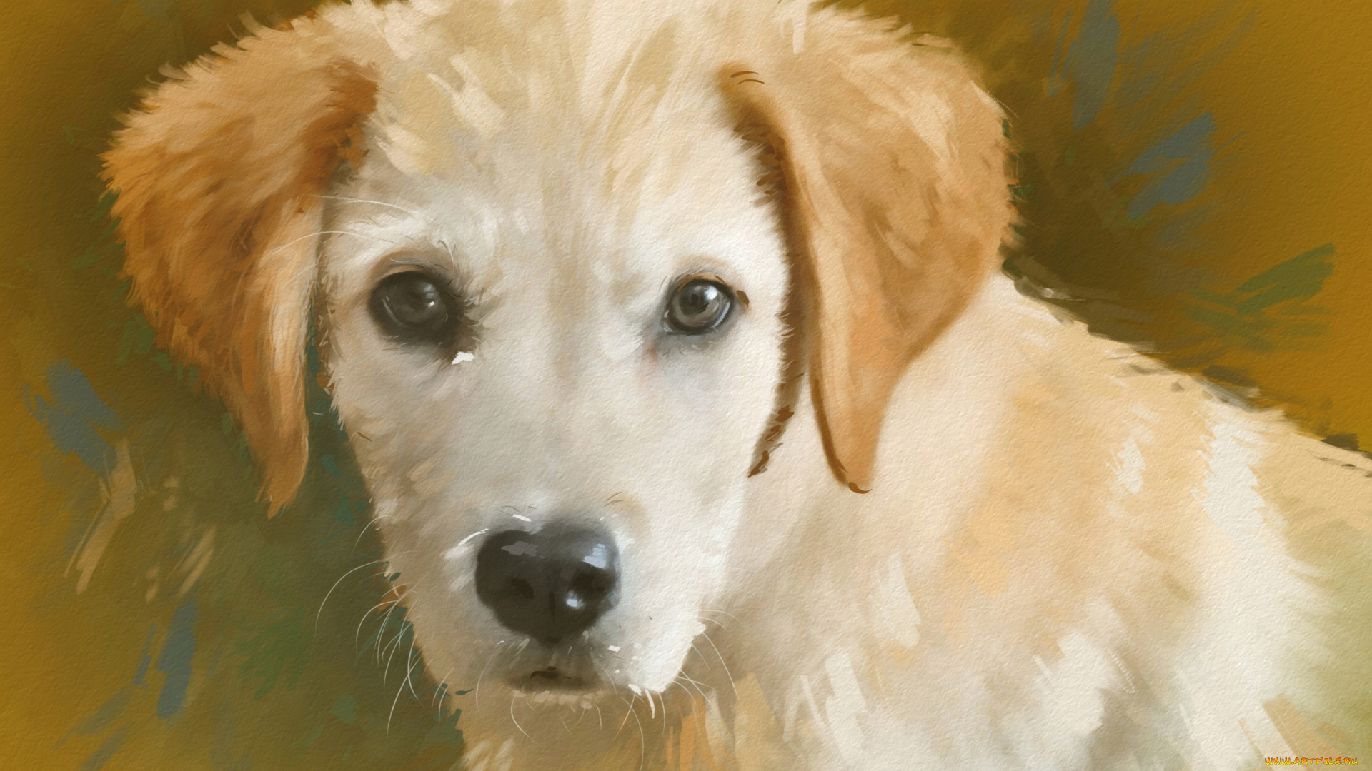 рисованное, животные, , собаки, портрет, собака, щенок