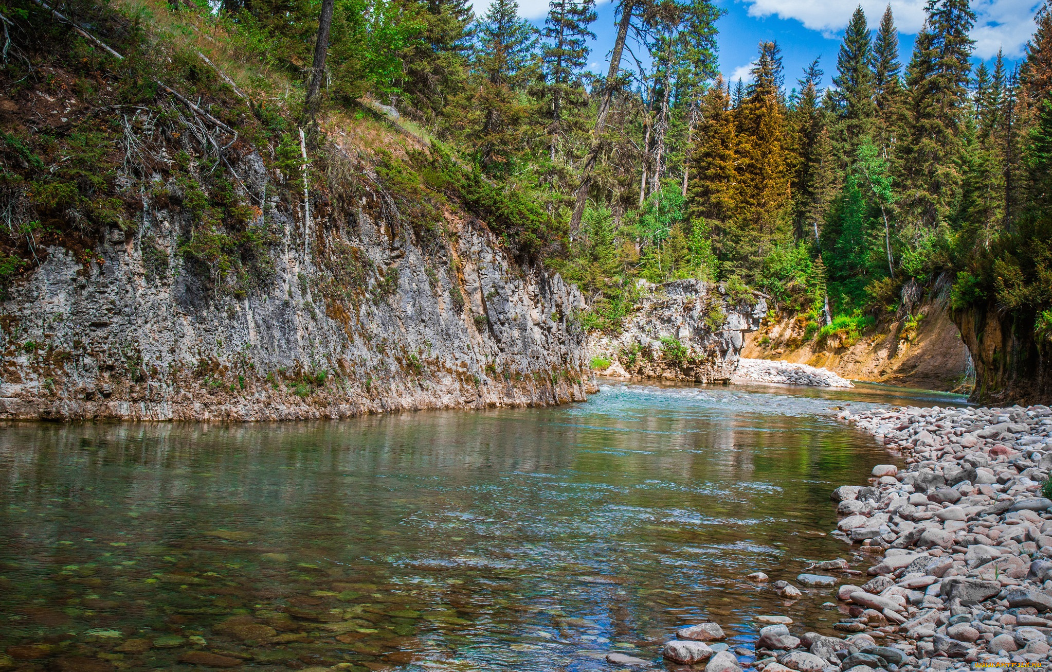 природа, реки, озера, лес, река