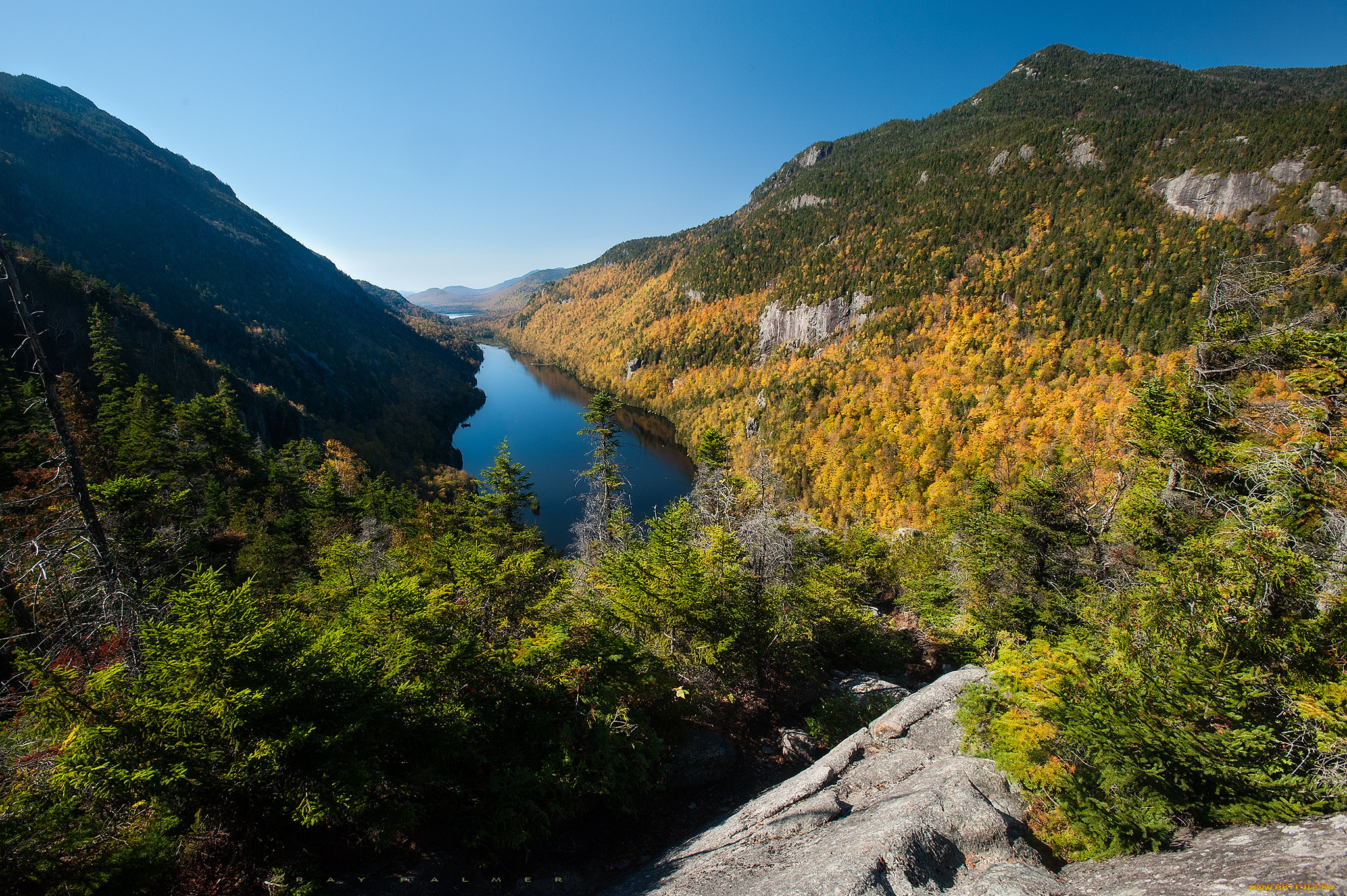 природа, реки, озера, лес, река