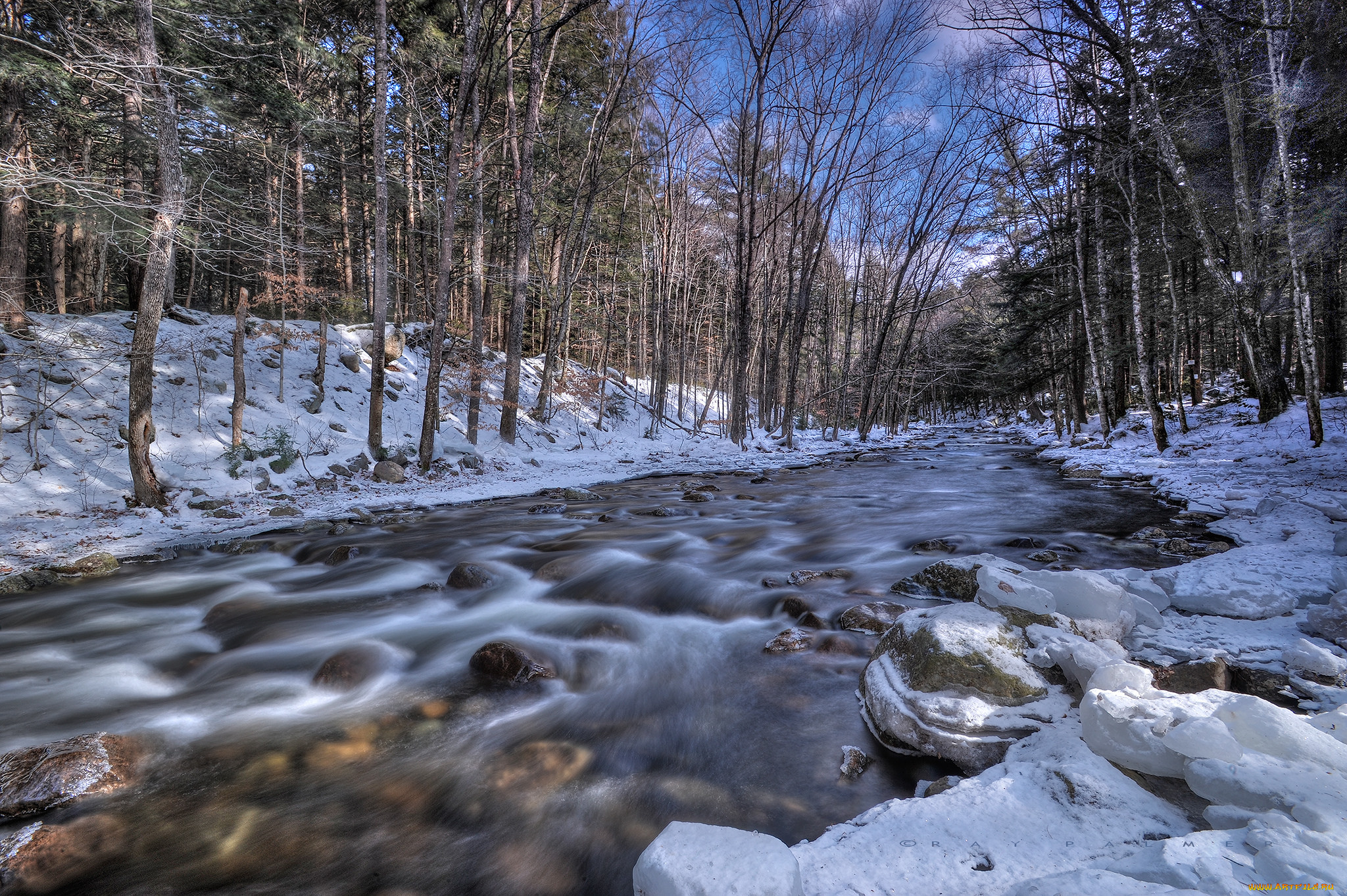 природа, реки, озера, лес, река