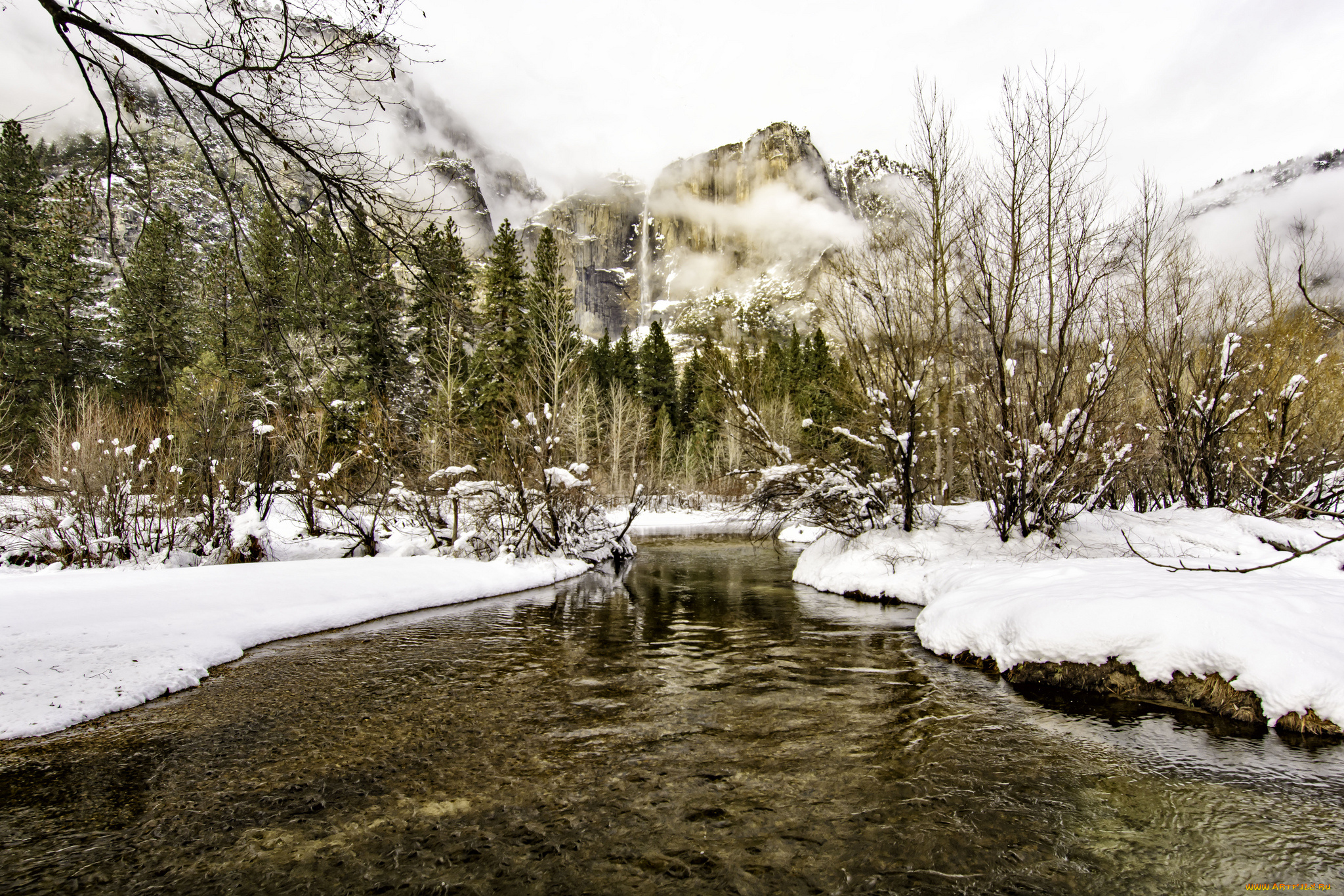 природа, реки, озера, лес, река