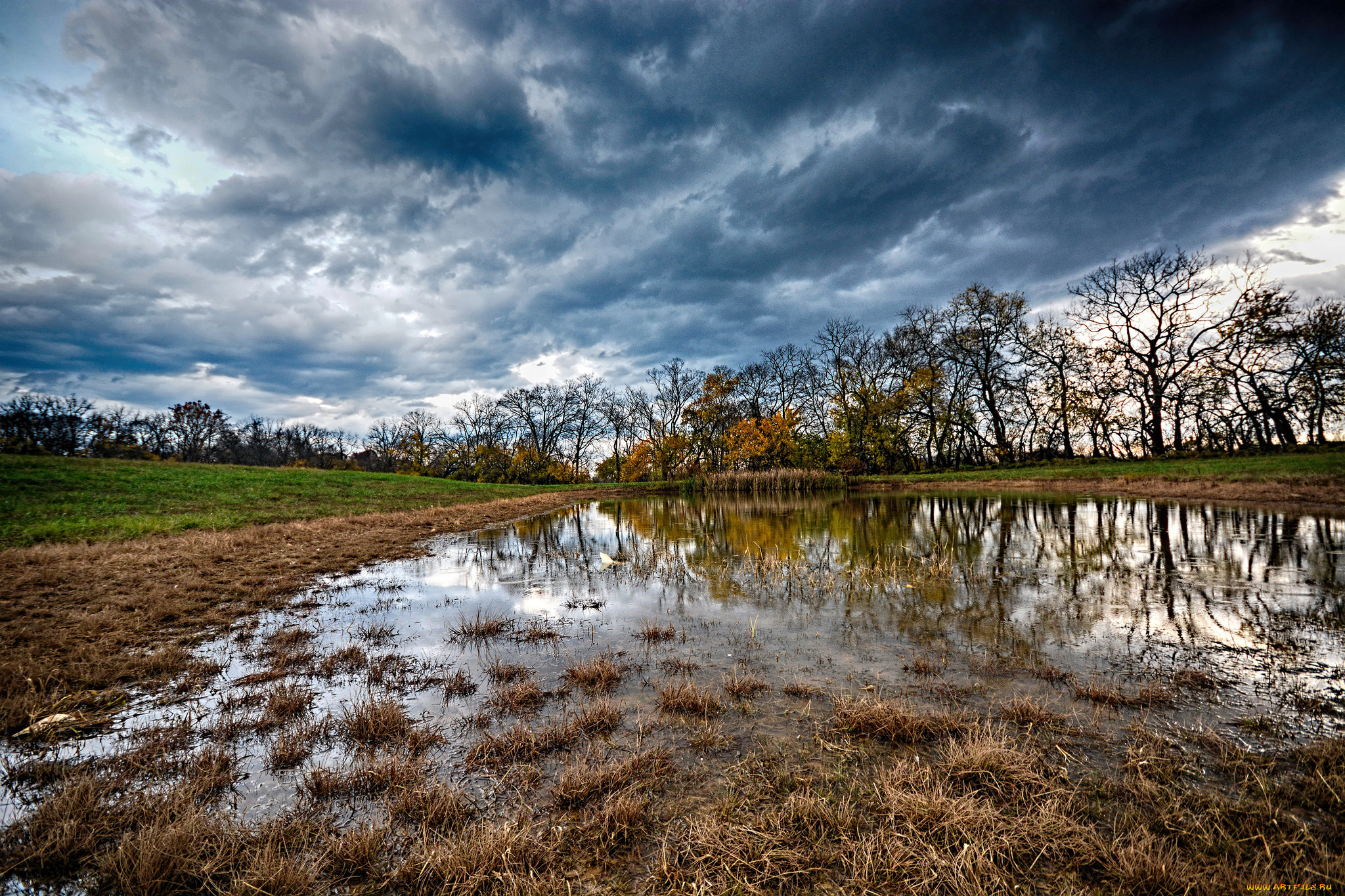 природа, реки, озера, лес, река