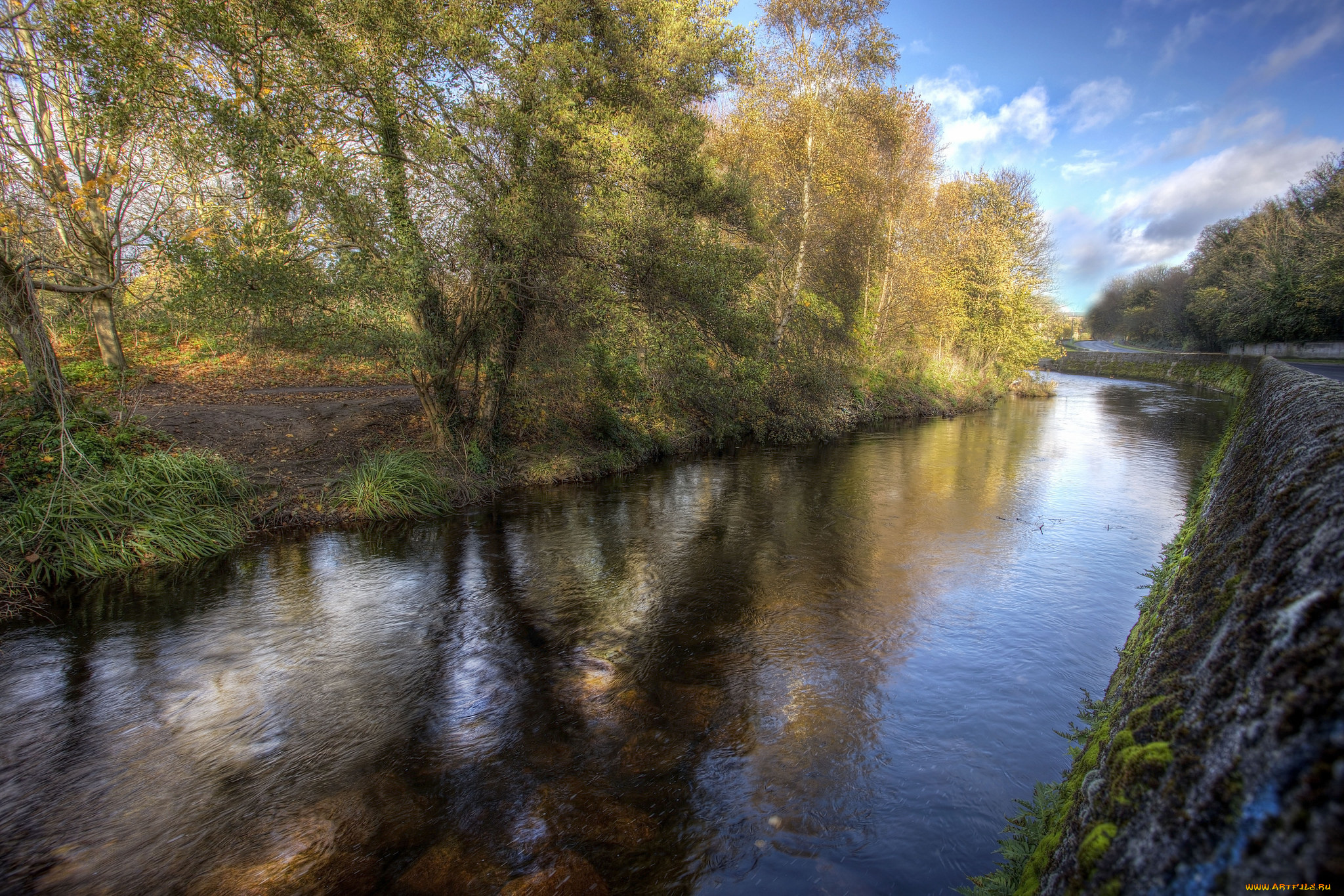 природа, реки, озера, лес, река