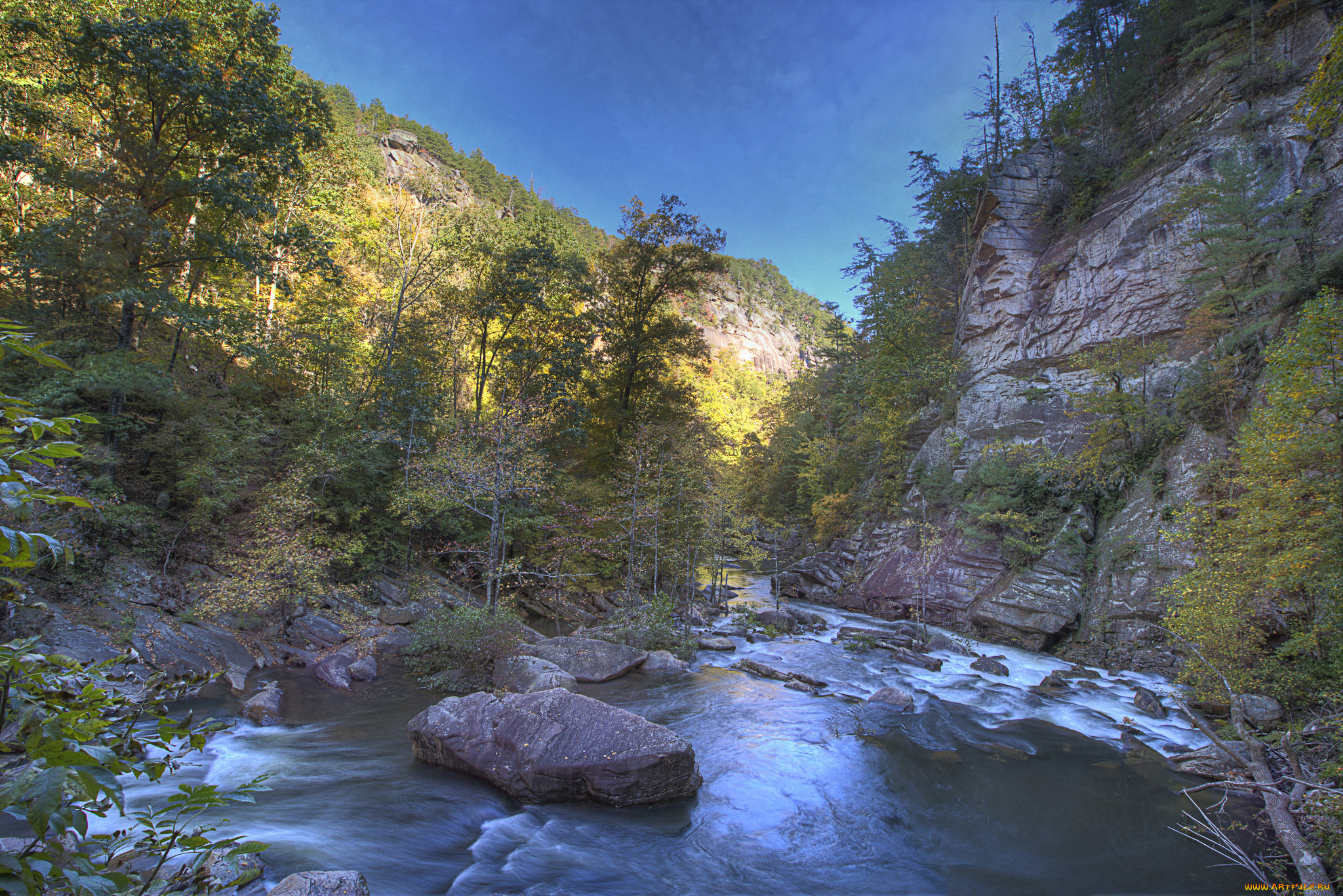 природа, реки, озера, лес, река