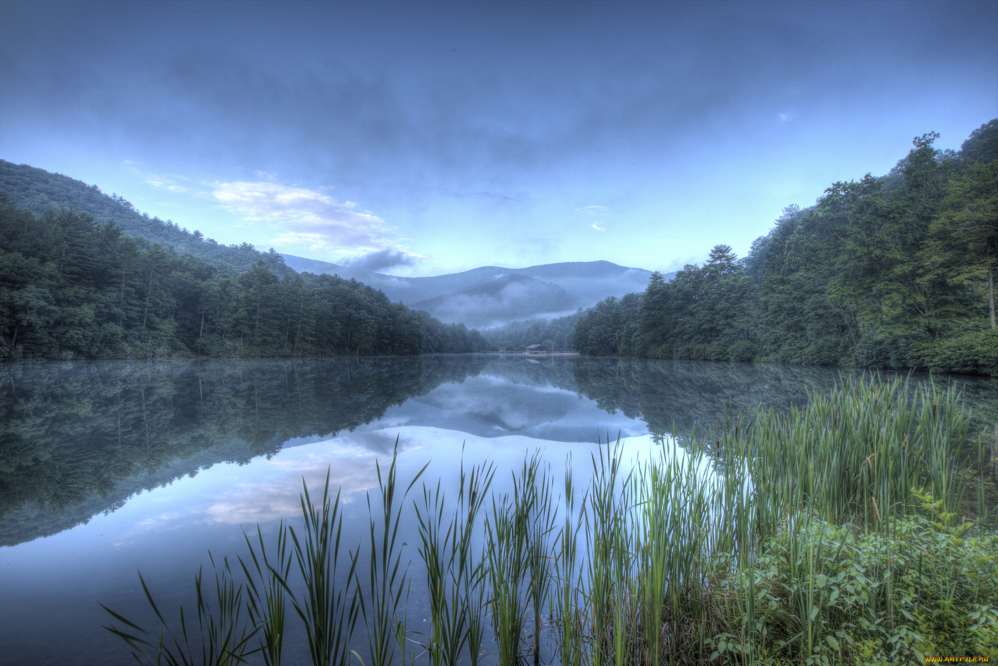 природа, реки, озера, лес, река