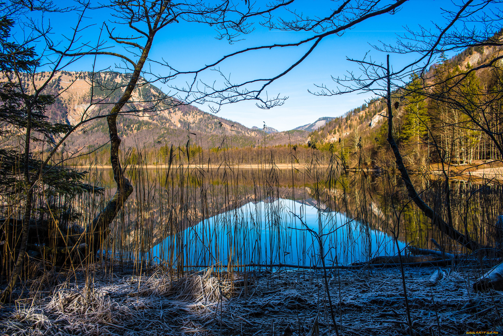 природа, реки, озера, лес, река