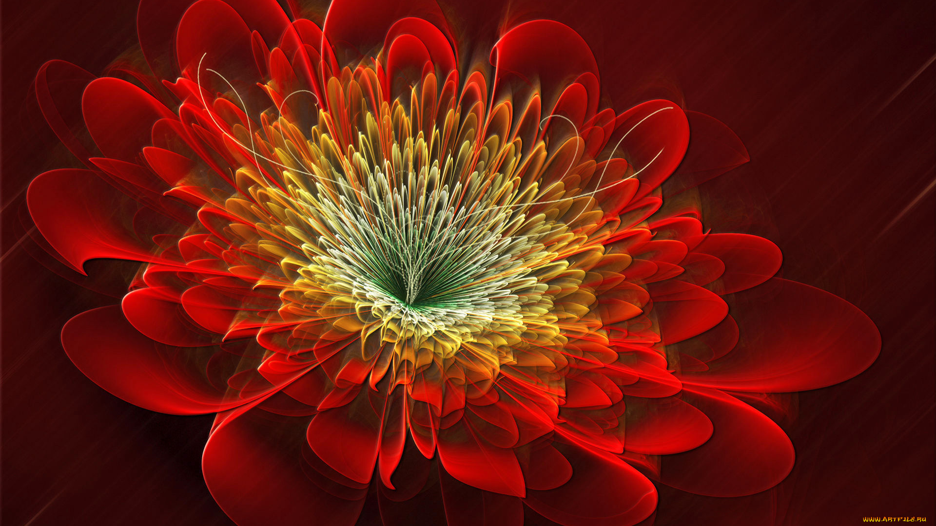 3д, графика, цветы, , flowers, красный, цветок