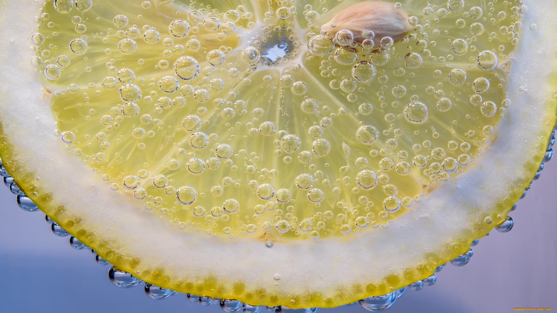 еда, цитрусы, лимон