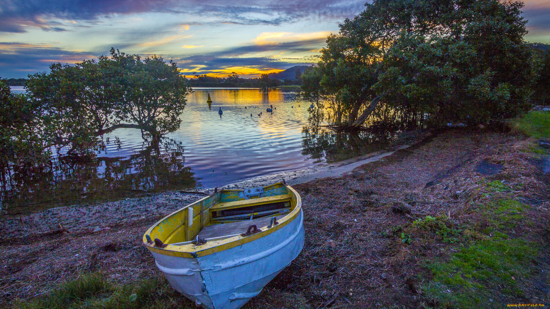 корабли, лодки, , шлюпки, река, лес