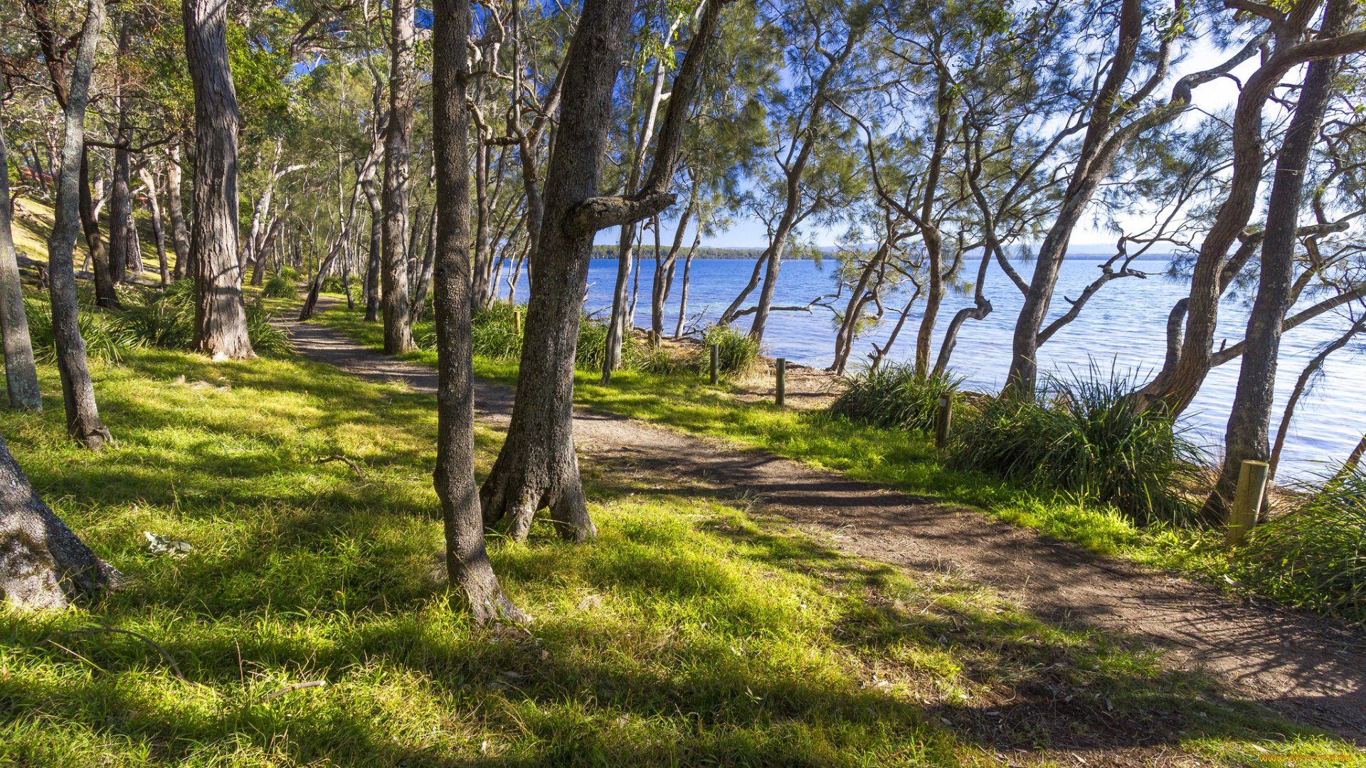 природа, дороги, простор