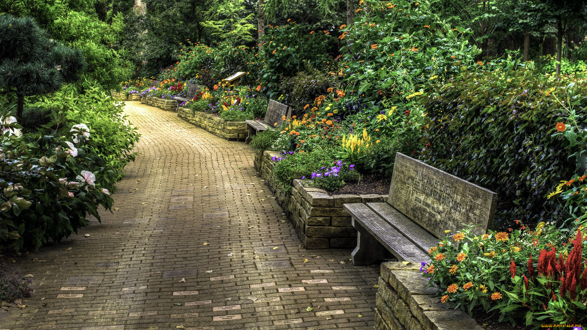 природа, парк, клумбы, скамейки, аллея