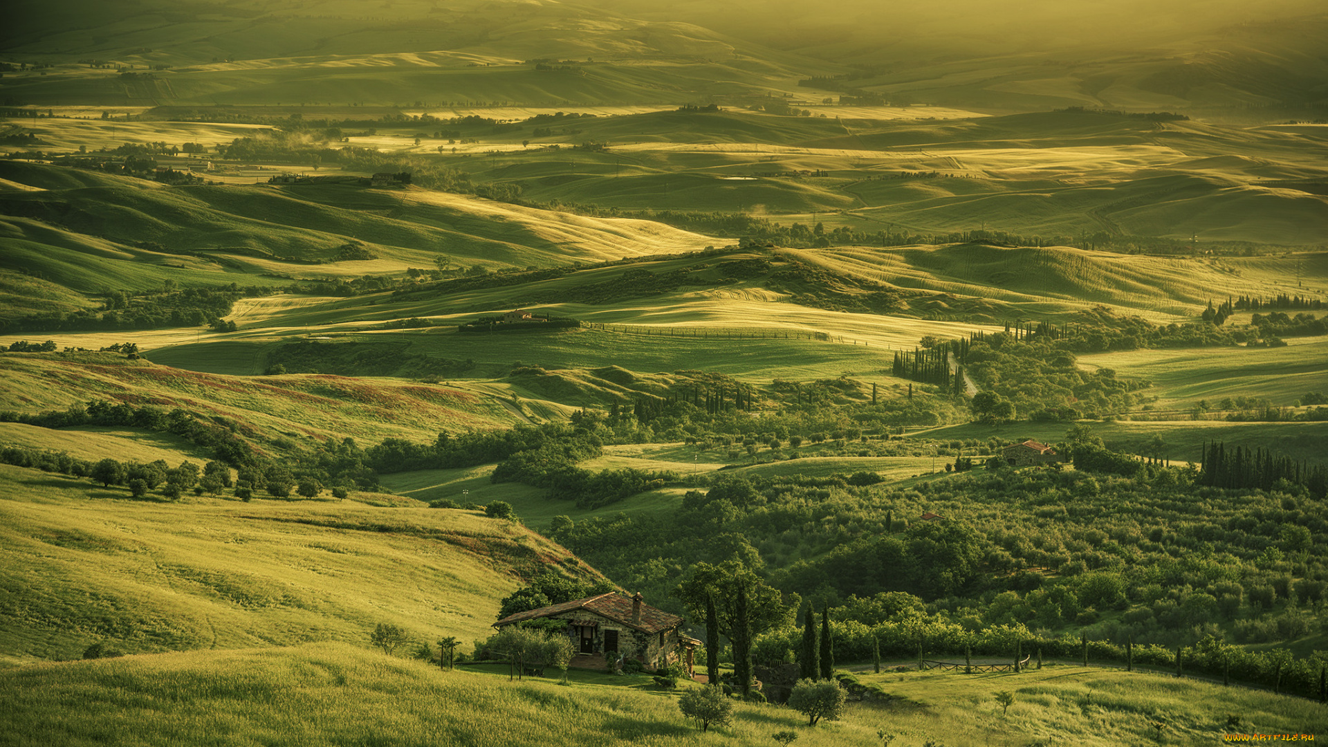 природа, пейзажи, поля, холмы, пейзаж, лето
