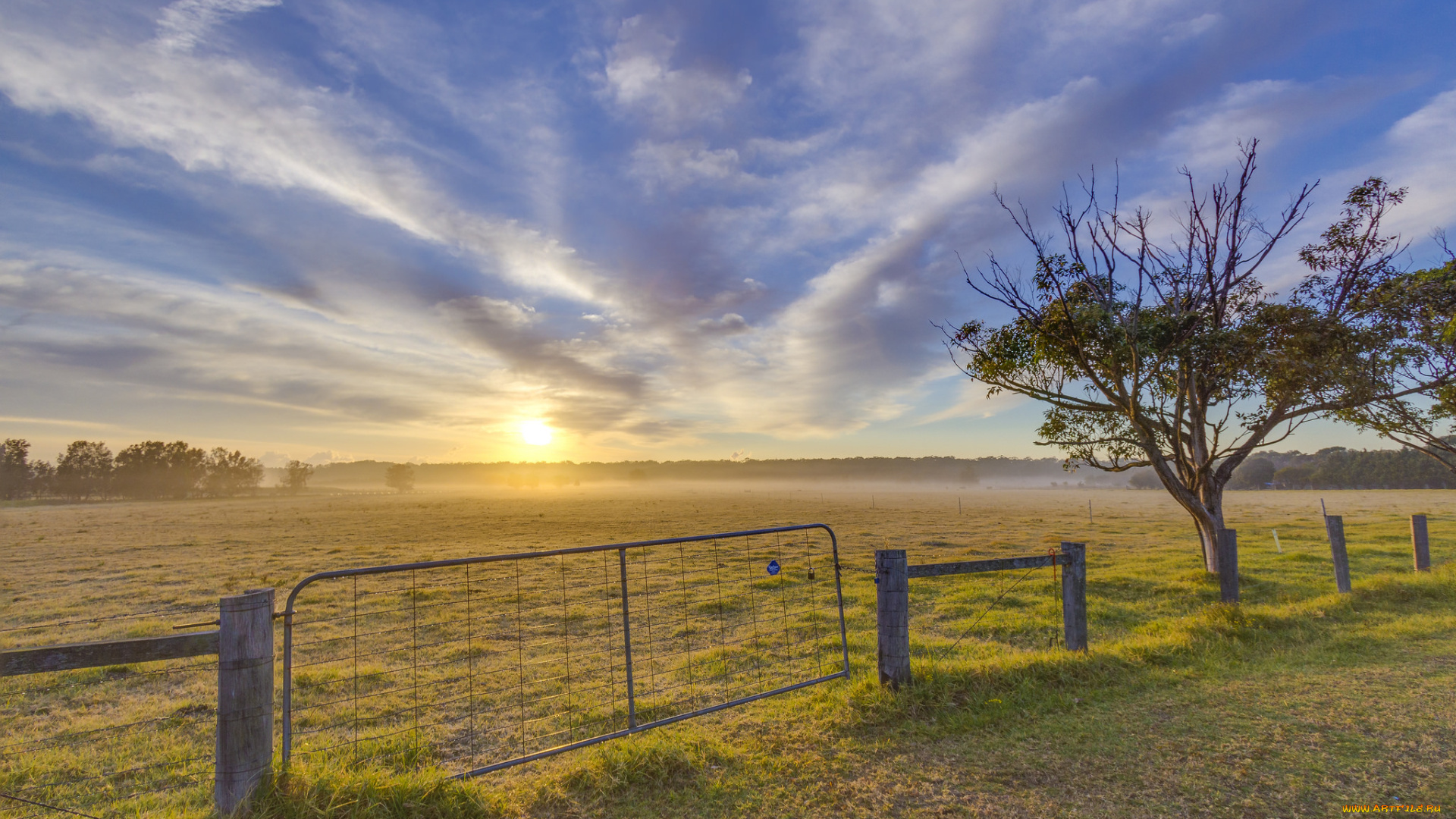 природа, пейзажи, простор