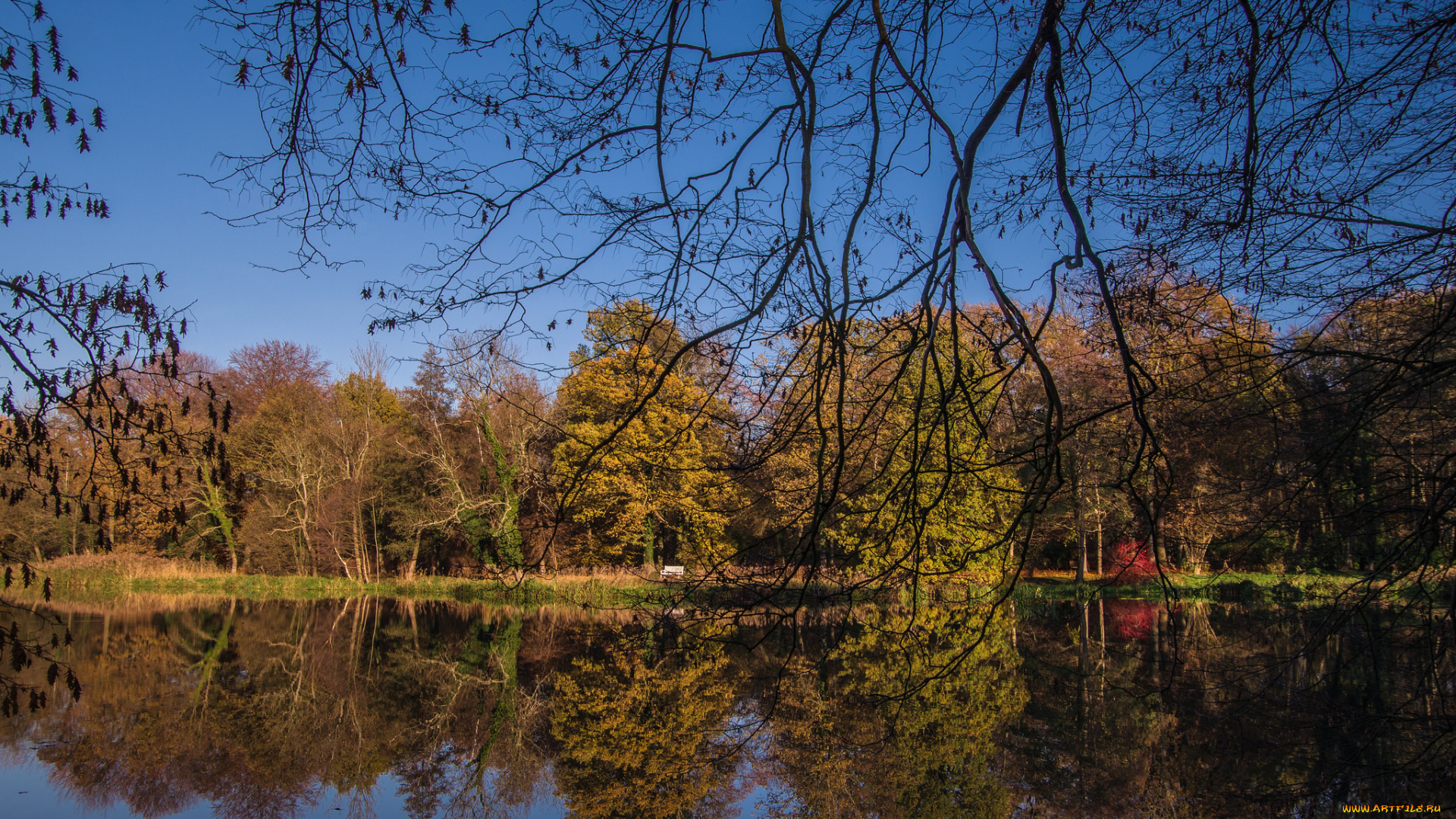 природа, реки, озера, река, лес