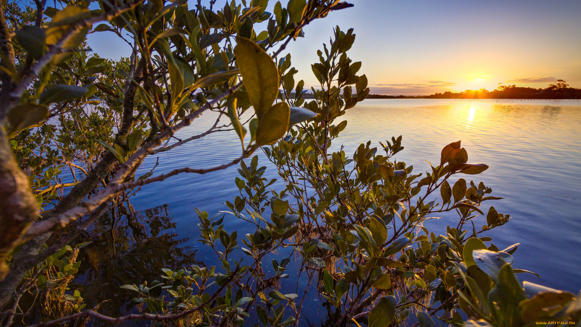 природа, восходы, закаты, простор