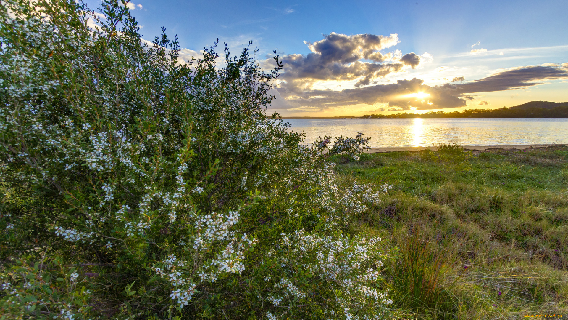 природа, восходы, закаты, простор